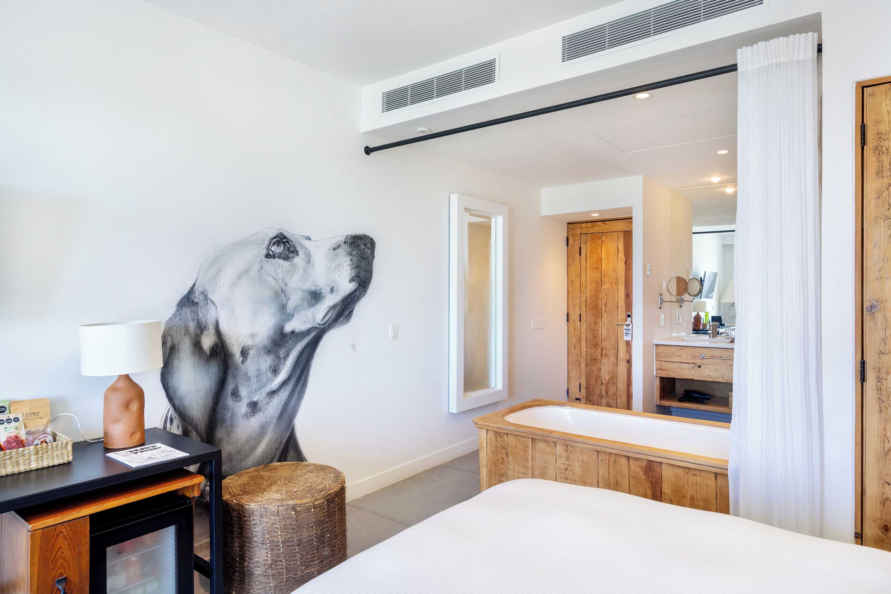 Gift card for Hotel El Ganzo - Adults Only