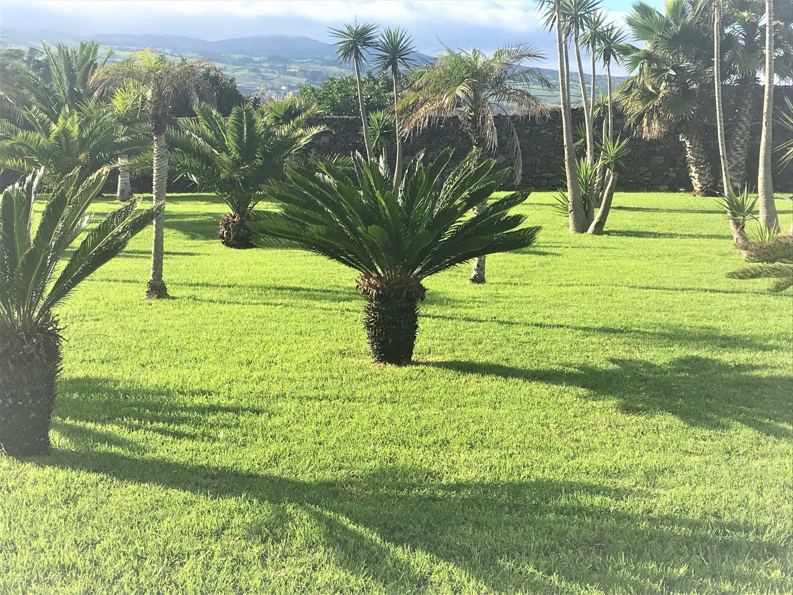 Gift card for Whales Bay Hotel