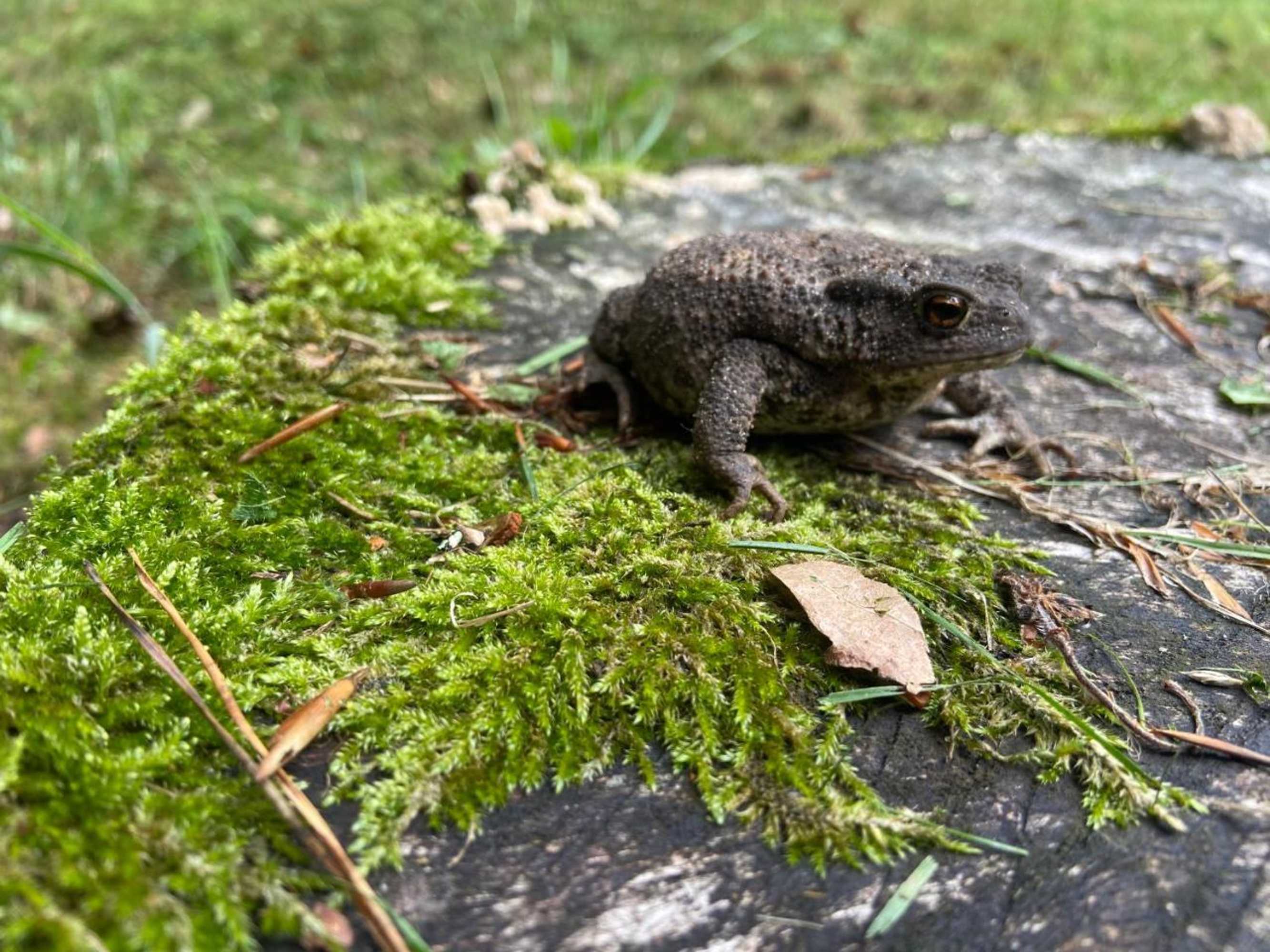 Gift card for 't Aarthuis