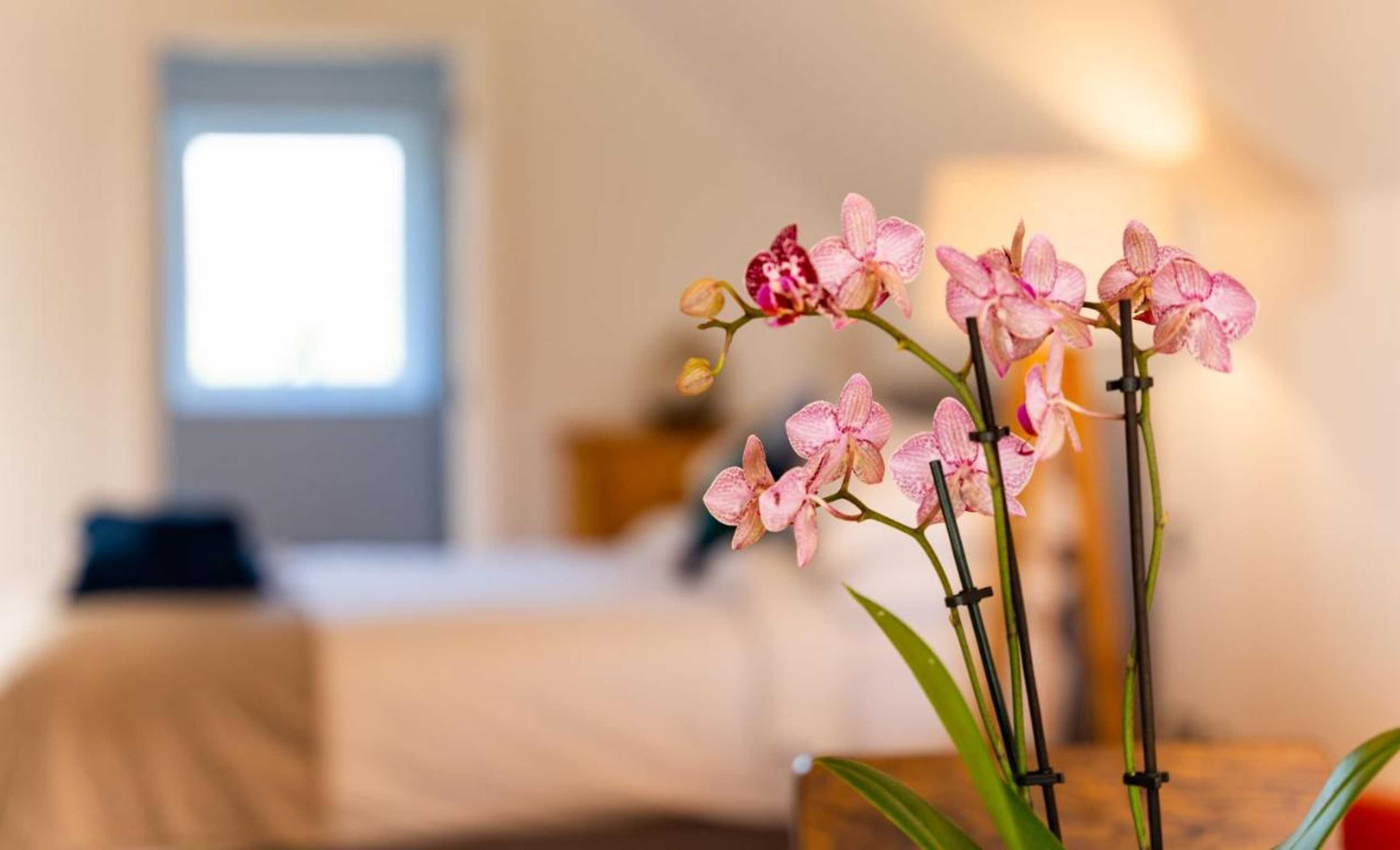 Gift card for Rivendell Resort