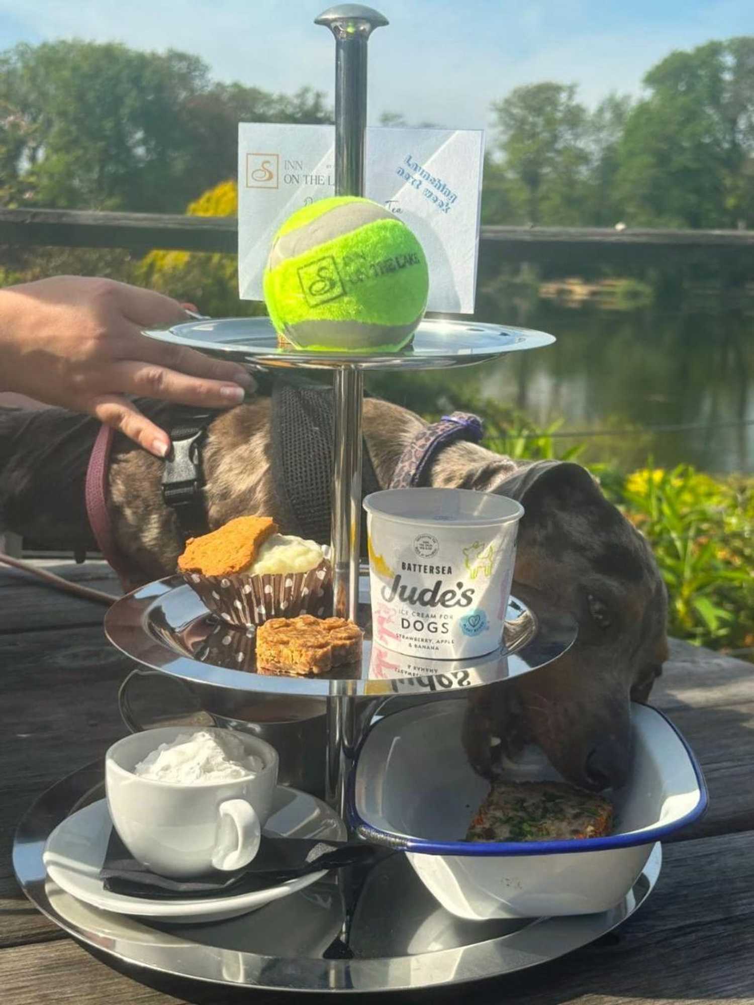 Gift card for Inn On The Lake