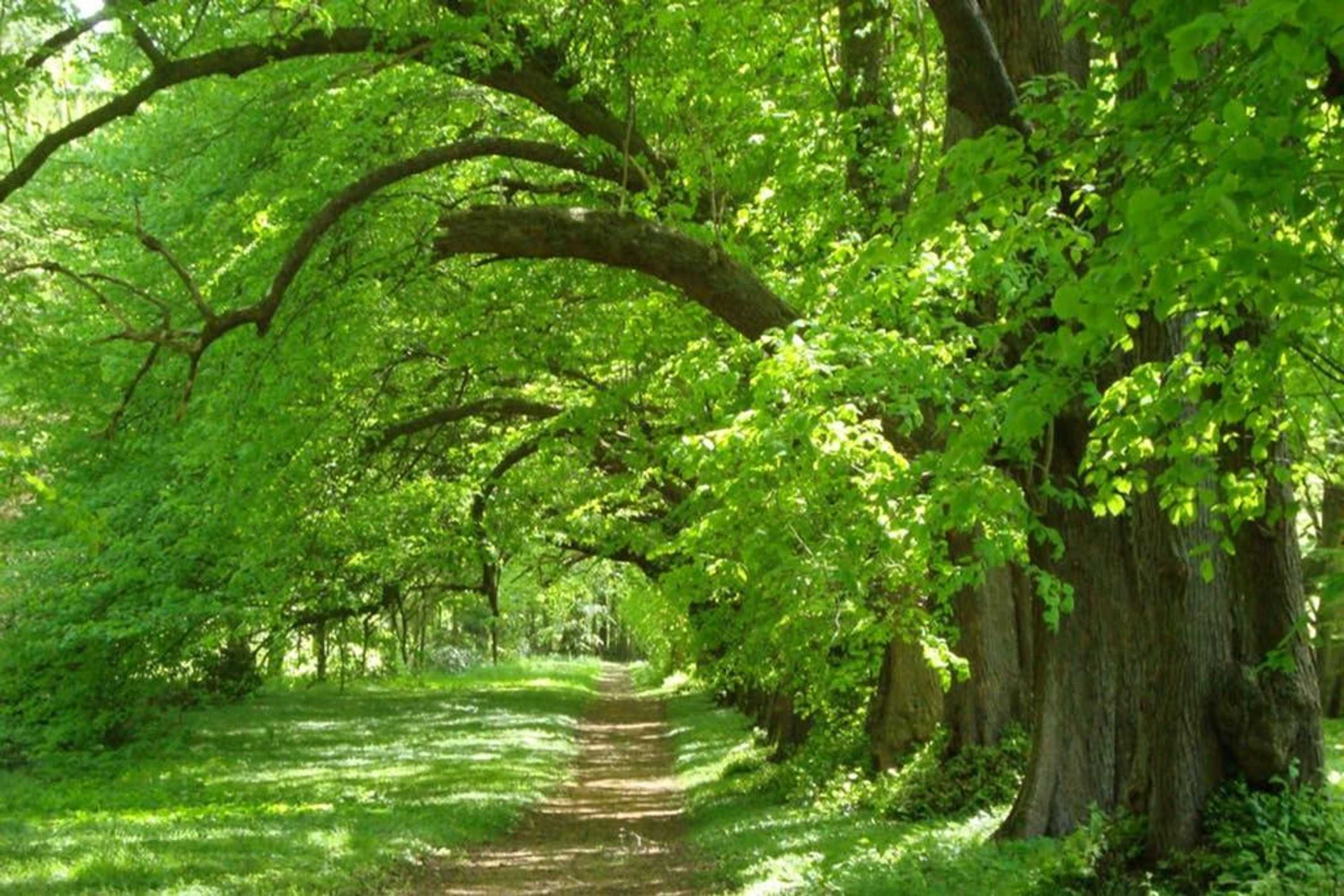 Gift card for Gut Hohenstein