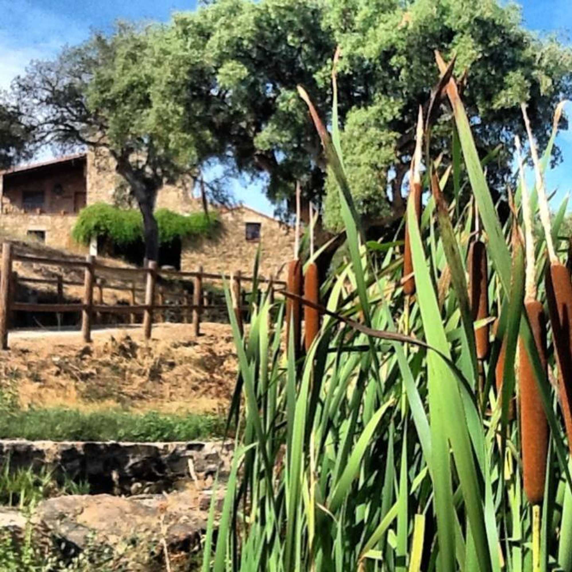 Gift card for La Macera