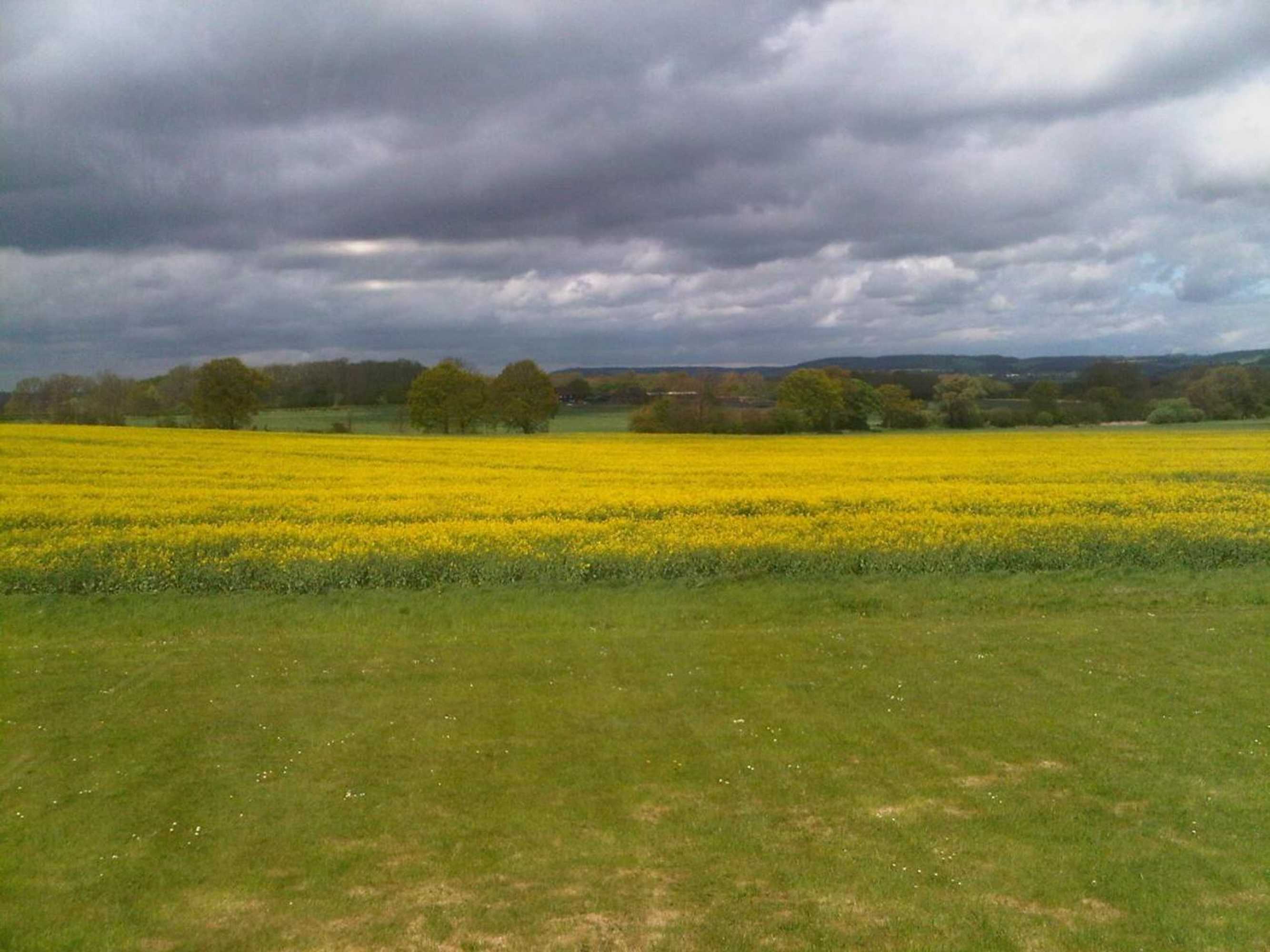 Gift card for Plumpton House