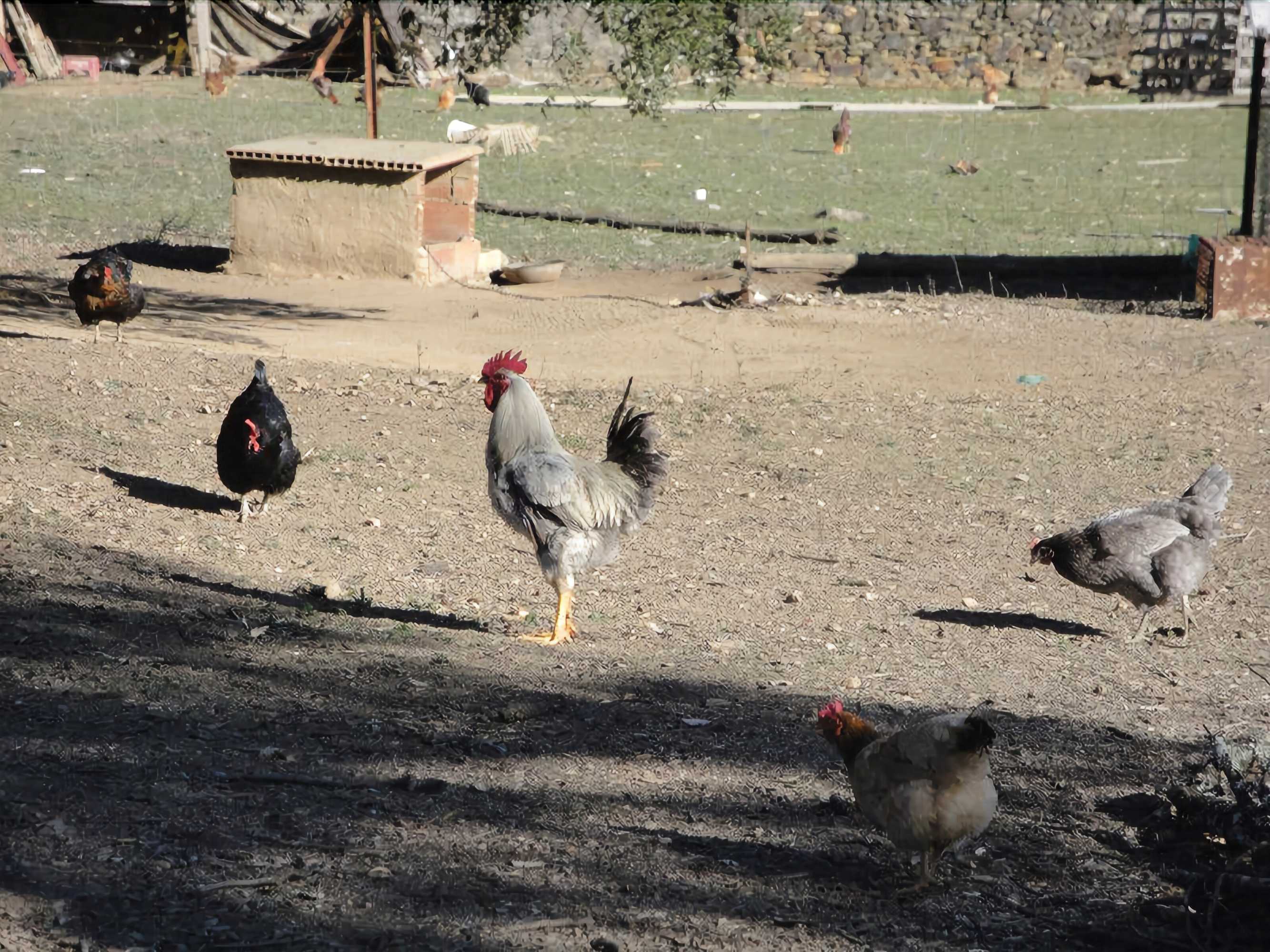 Gift card for Casa Rural Sierra San Mamede Gift card for Casa Rural Sierra San Mamede