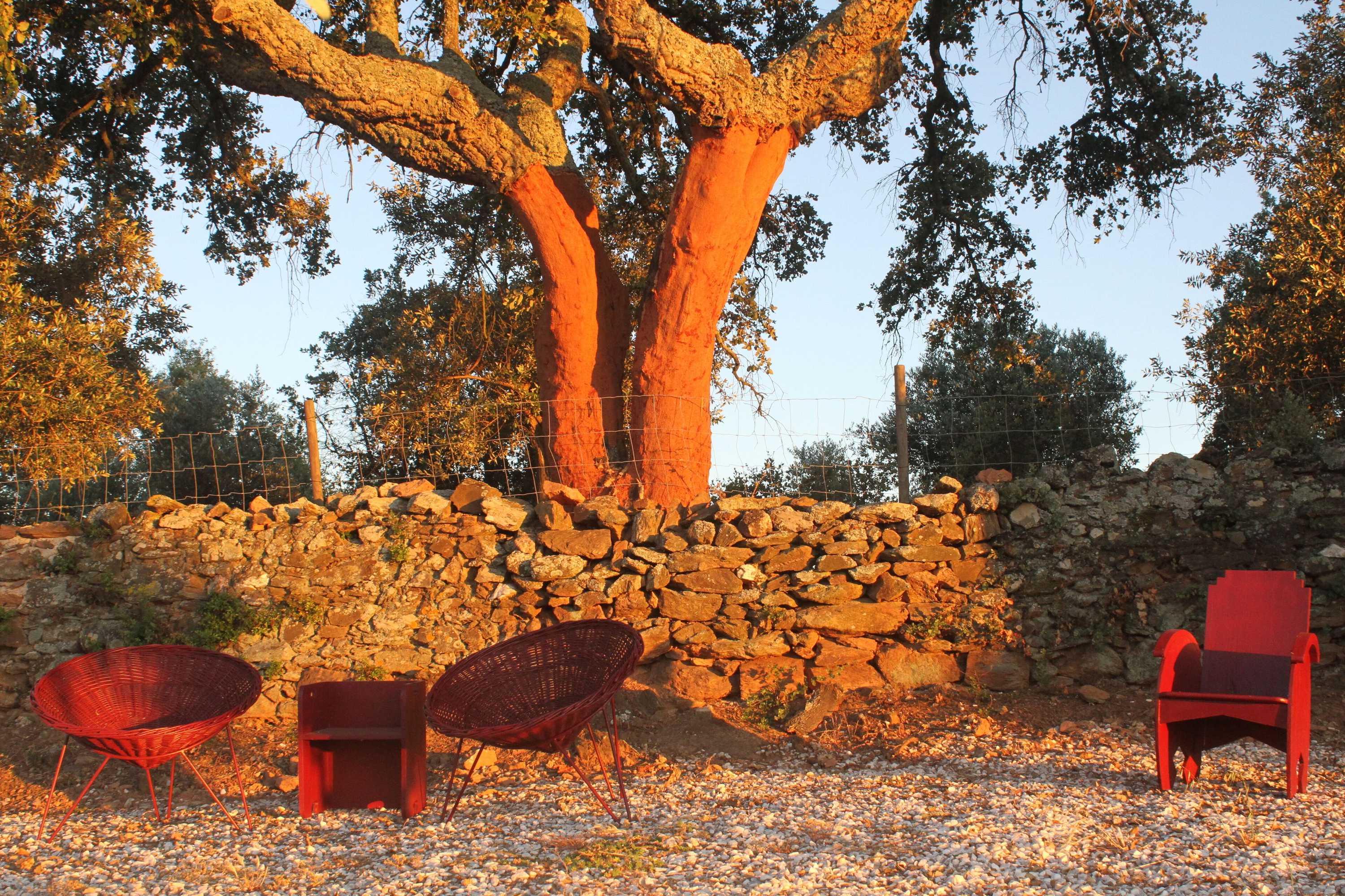 Gift card for Quinta da Soneca Turismo Rural Gift card for Quinta da Soneca Turismo Rural
