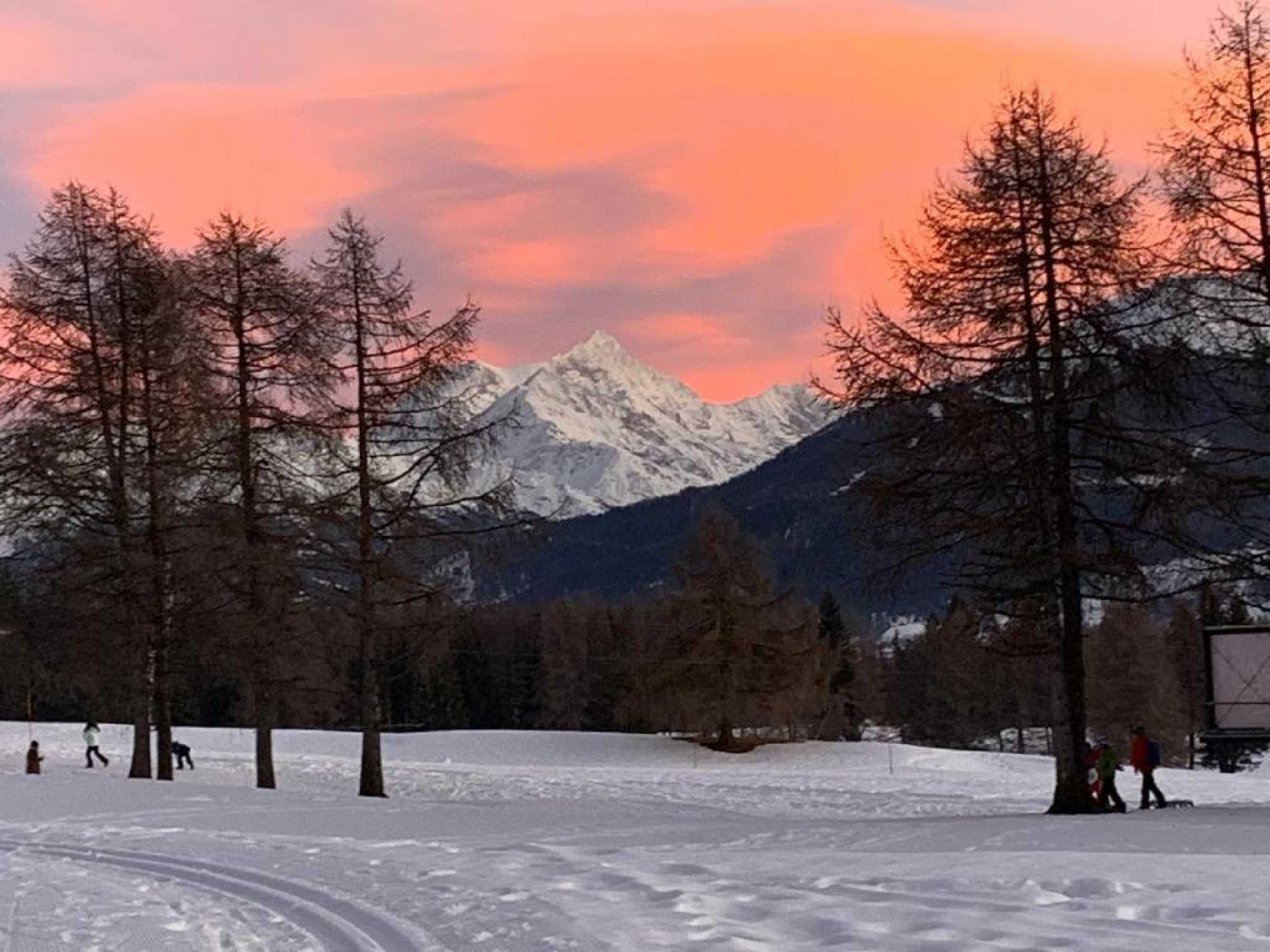 Gift card for Sport Palace