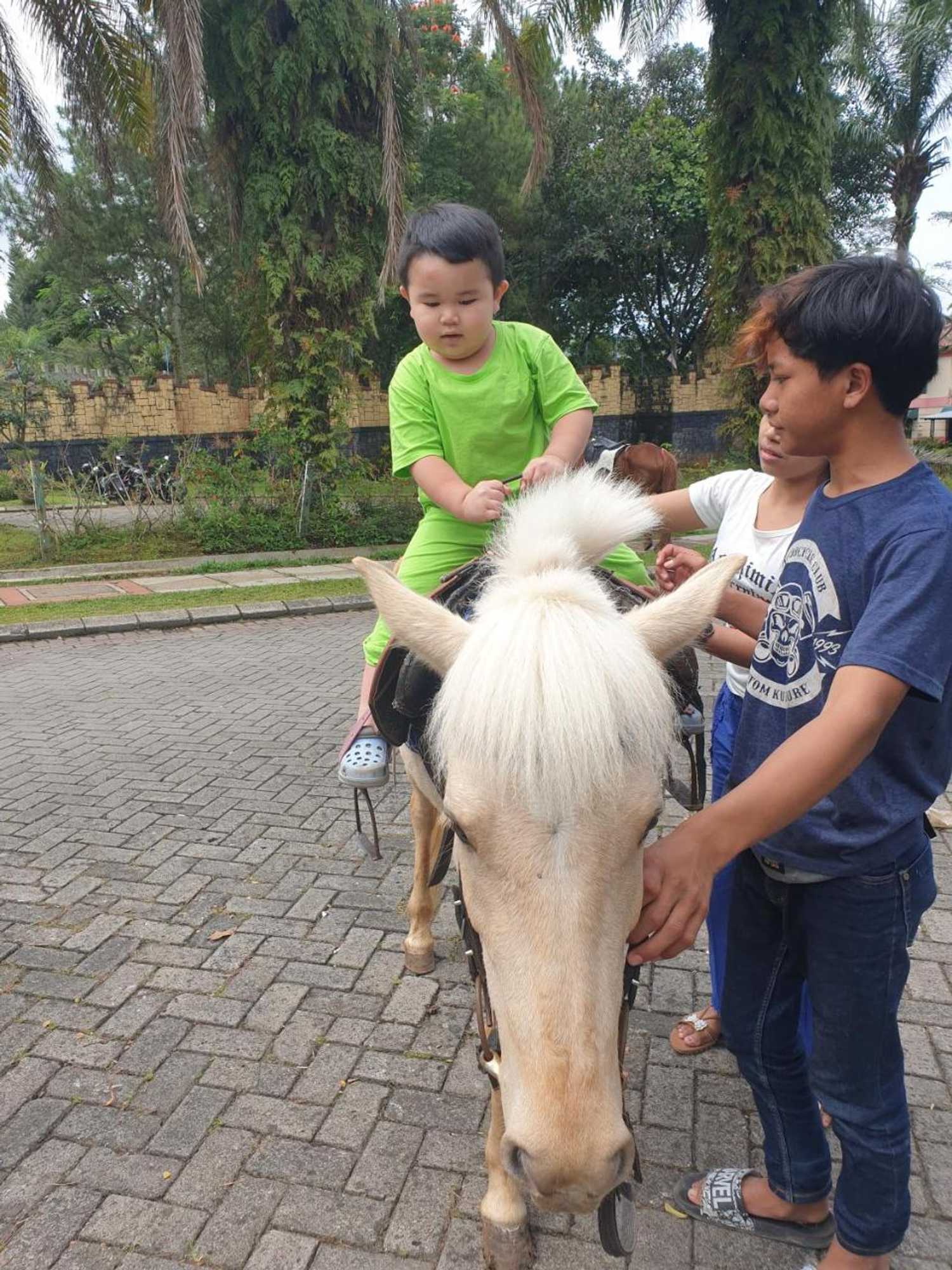 Gift card for Villa Miky Kota Bunga Puncak Cianjur Bogor