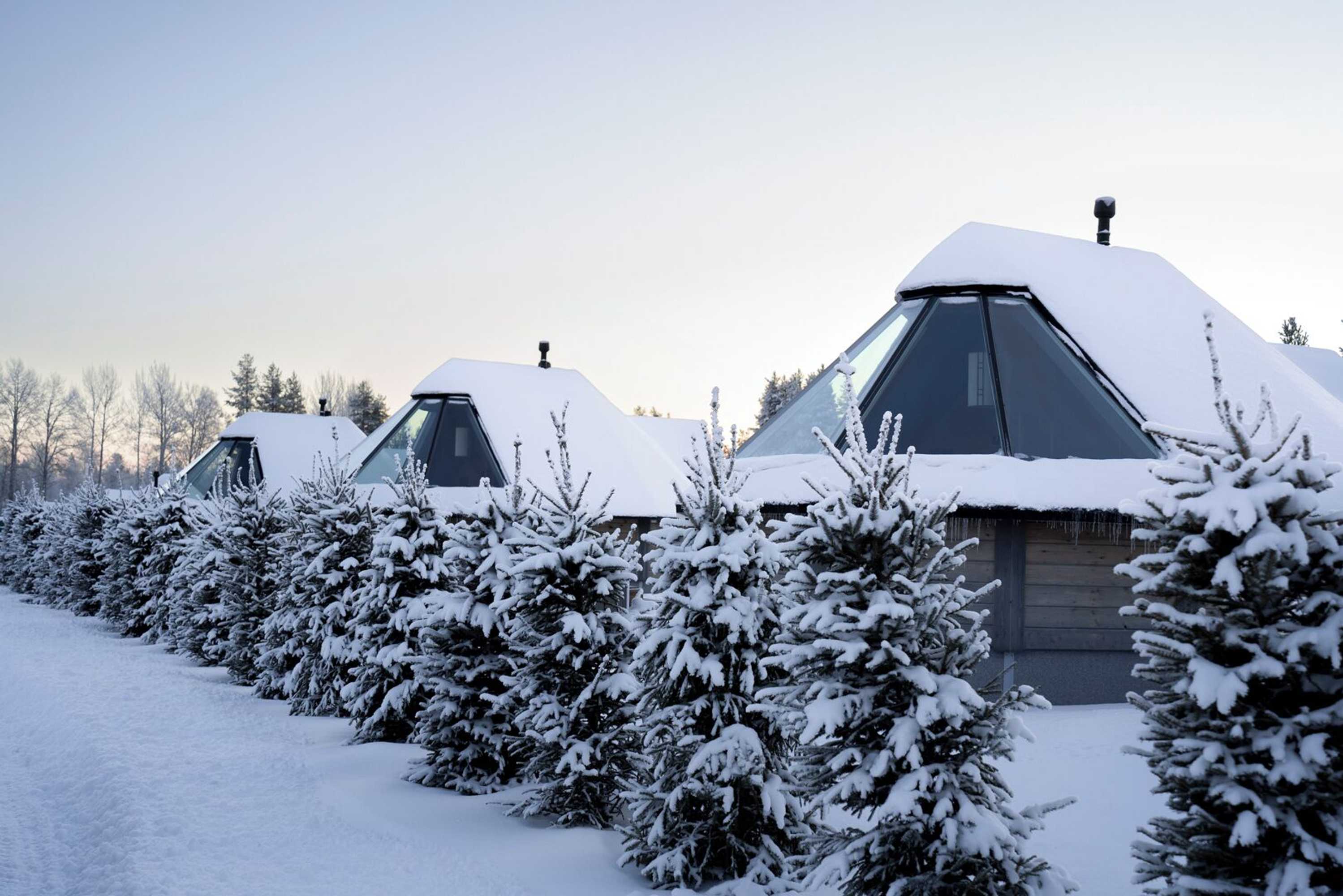 Gift card for Reindeer Manor Levi Gift card for Reindeer Manor Levi