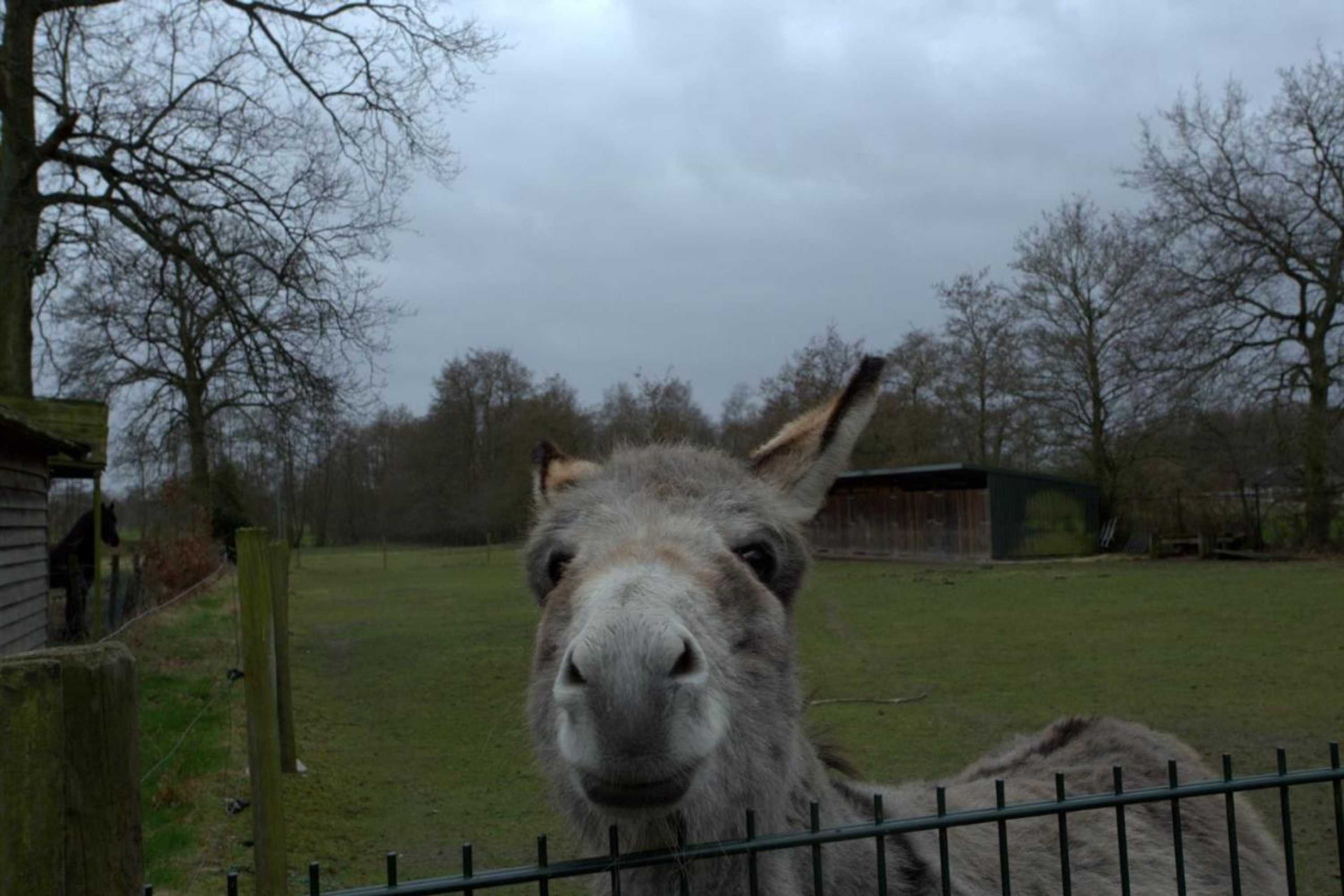 Gift card for B&b Dream On Wheels