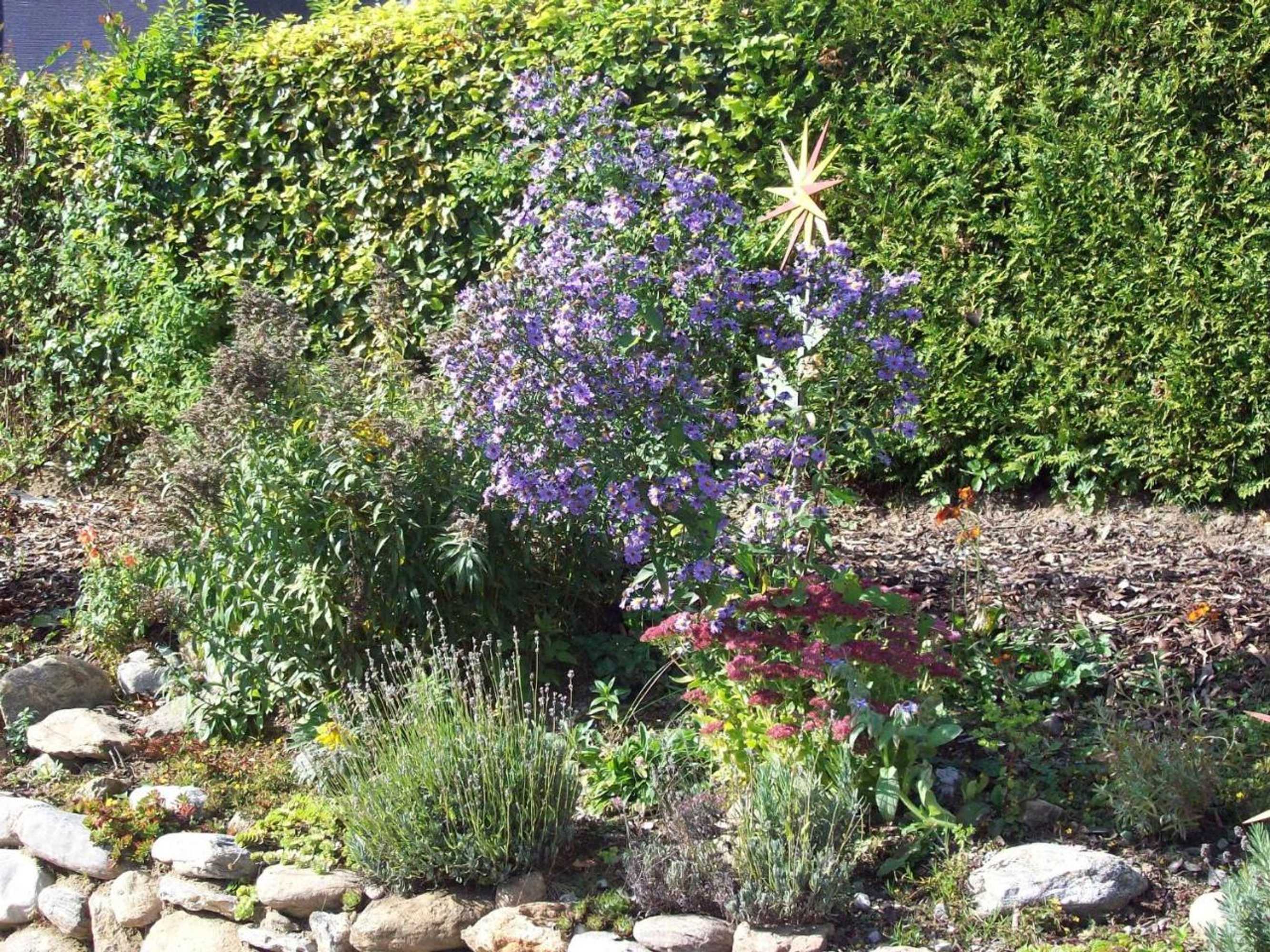 Gift card for Ferienwohnung Haus Hollerbusch