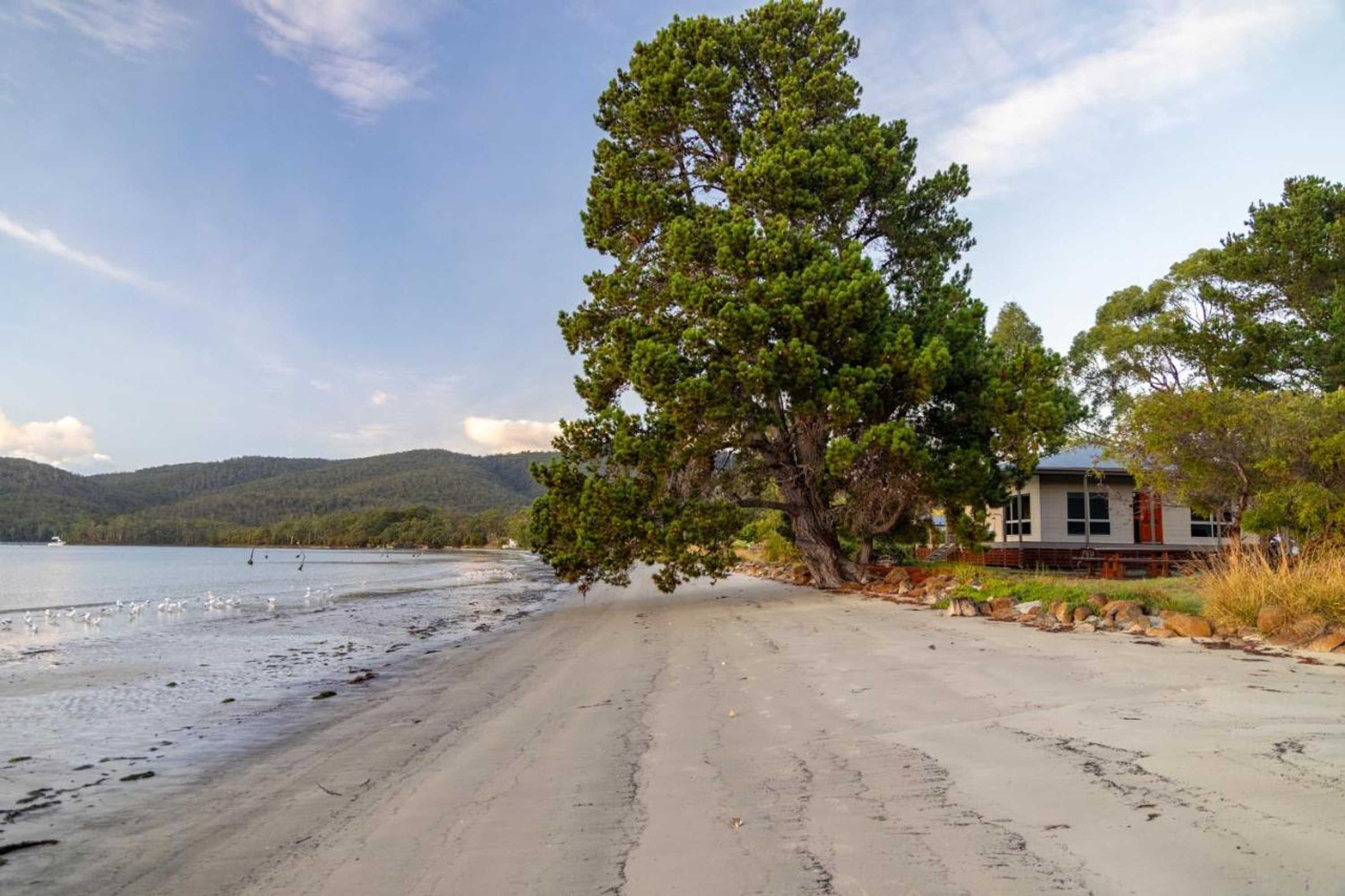 Gift card for Tides Reach - Essentially Tas Dover