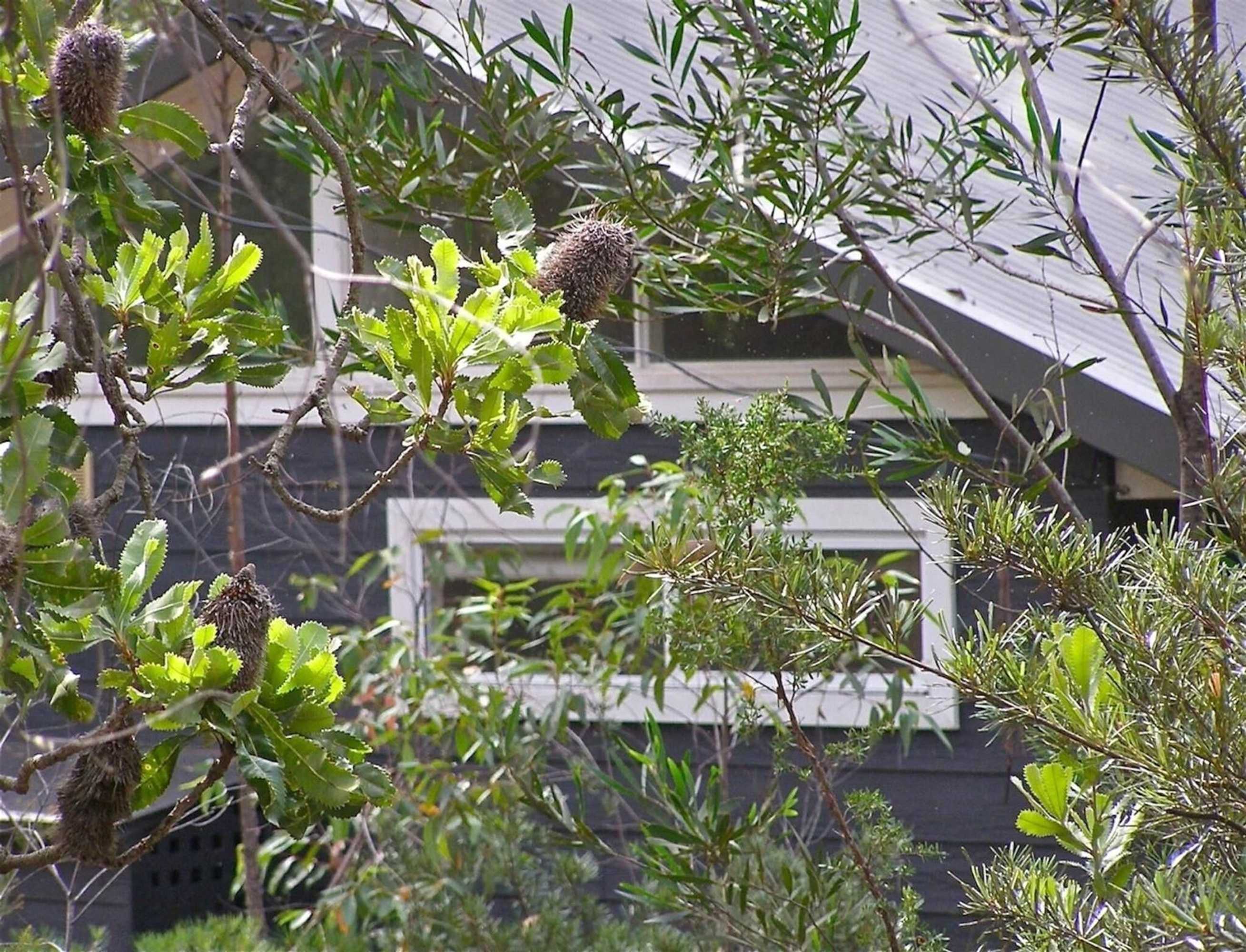 Gift card for The Rustic Spirit