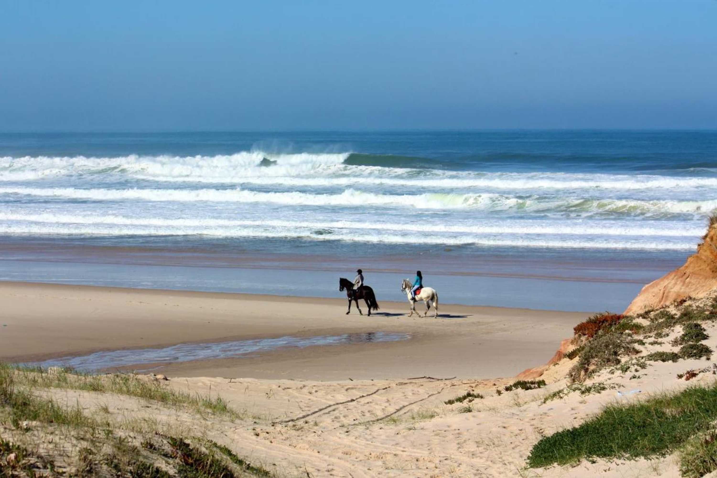 Gift card for Quinta do Rol