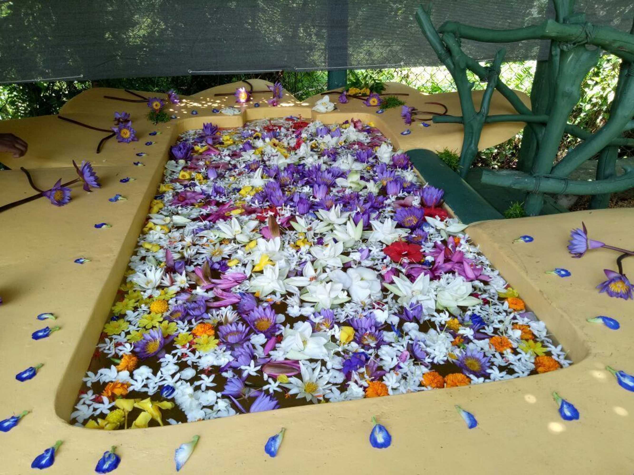 Gift card for Traumvilla Bentota