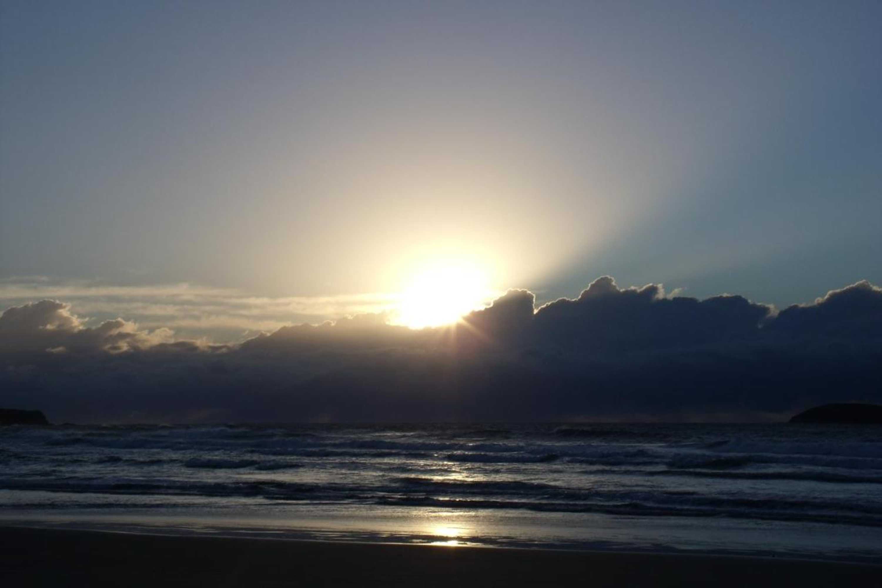 Gift card for Emerald Tropical Palms B & B Gift card for Emerald Tropical Palms B & B