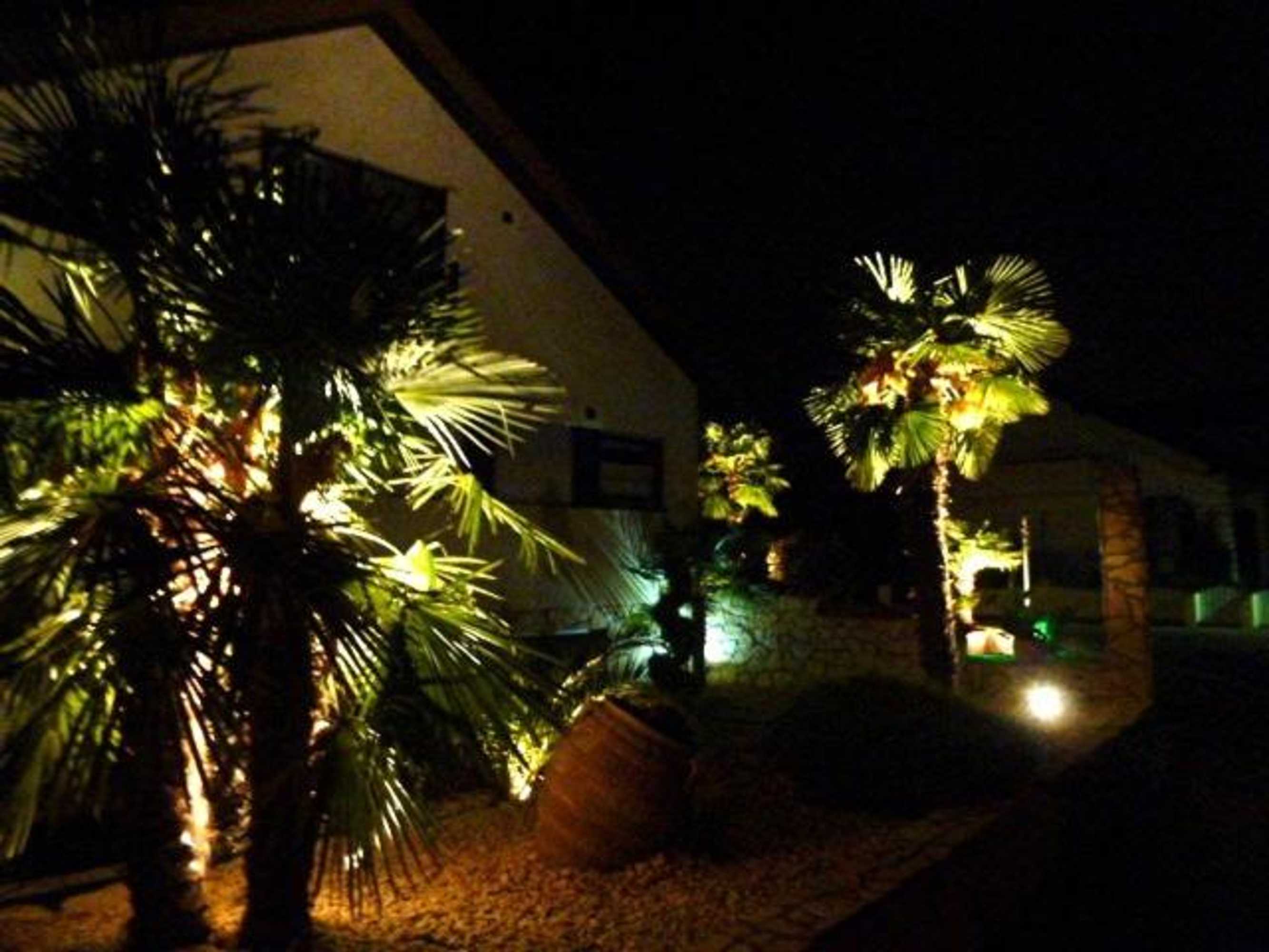 Gift card for Casa Palma