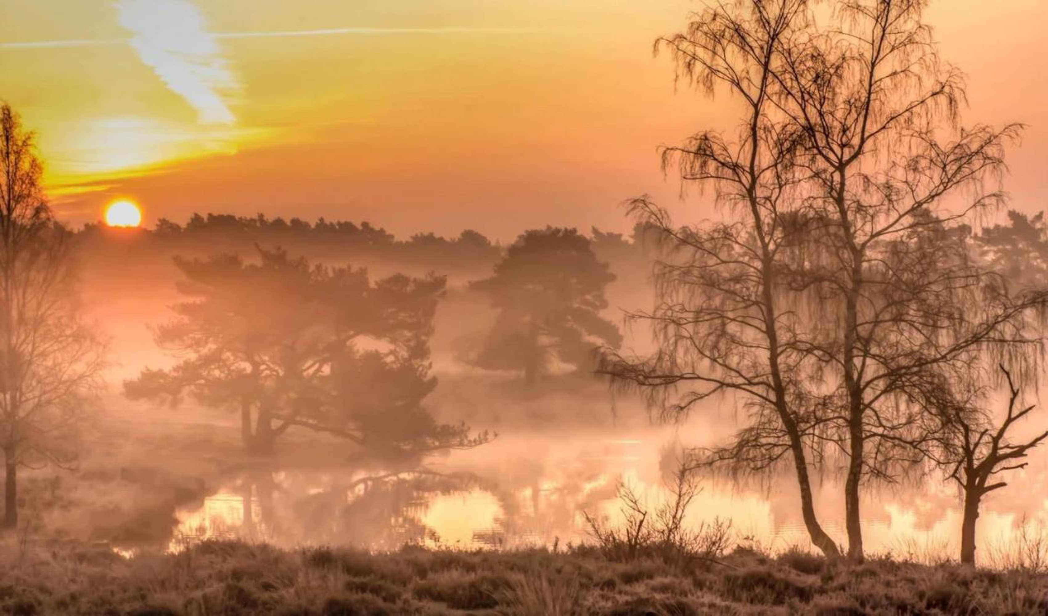 Gift card for Logies Angelbeeck