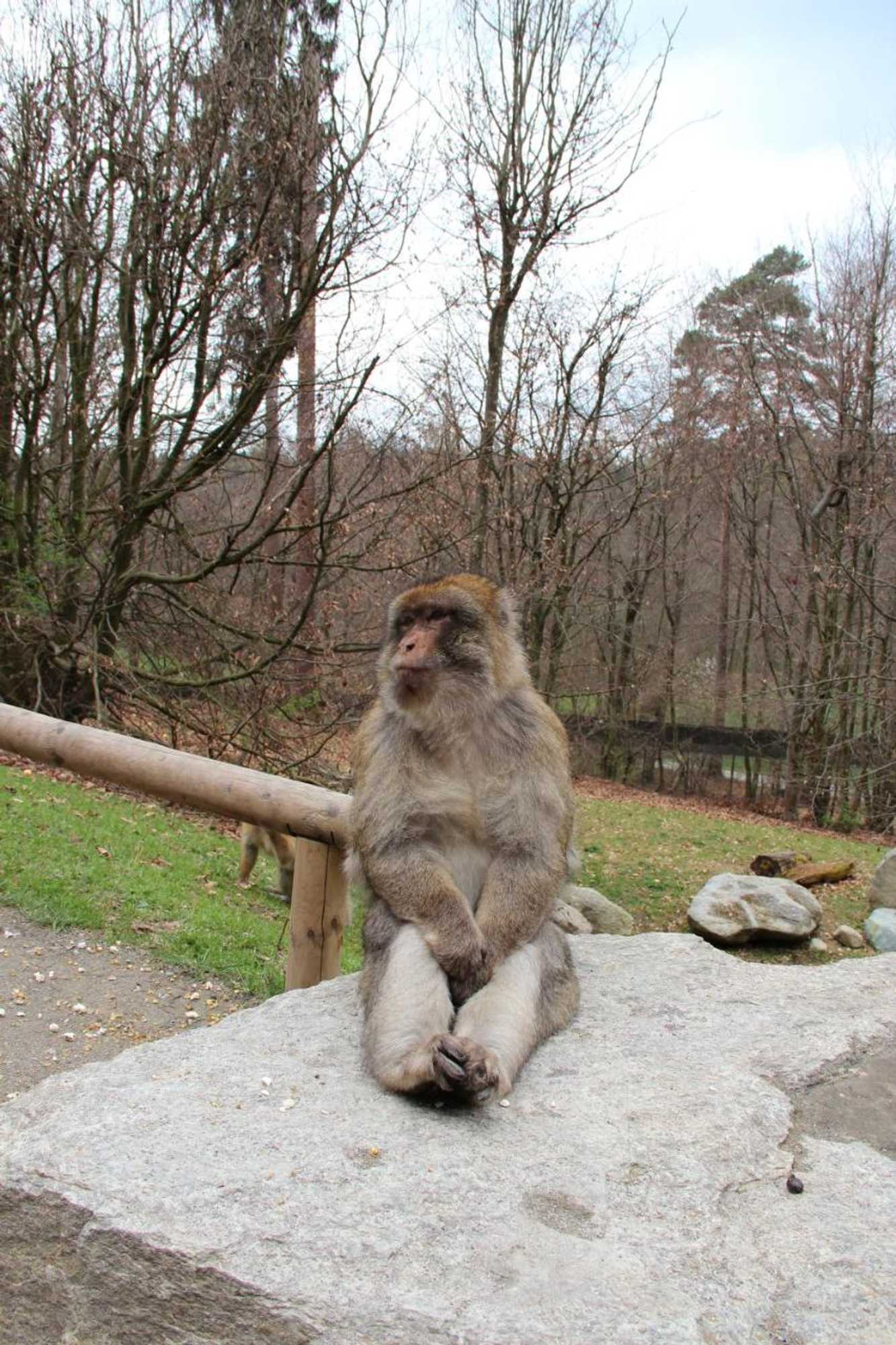 Gift card for Hotel Krone Stühlingen - Das Tor Zum Südschwarzwald