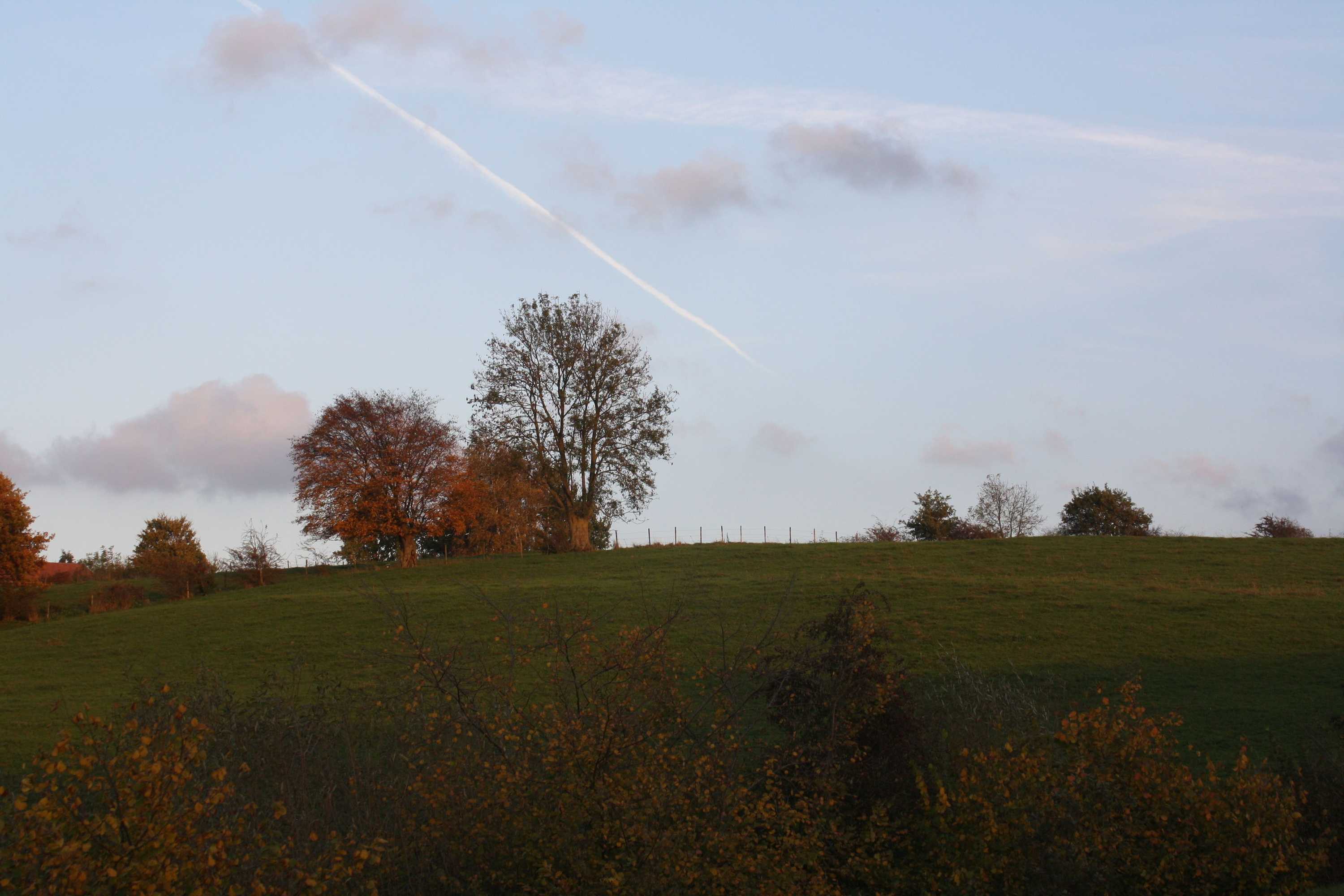 Gift card for Ô Macra