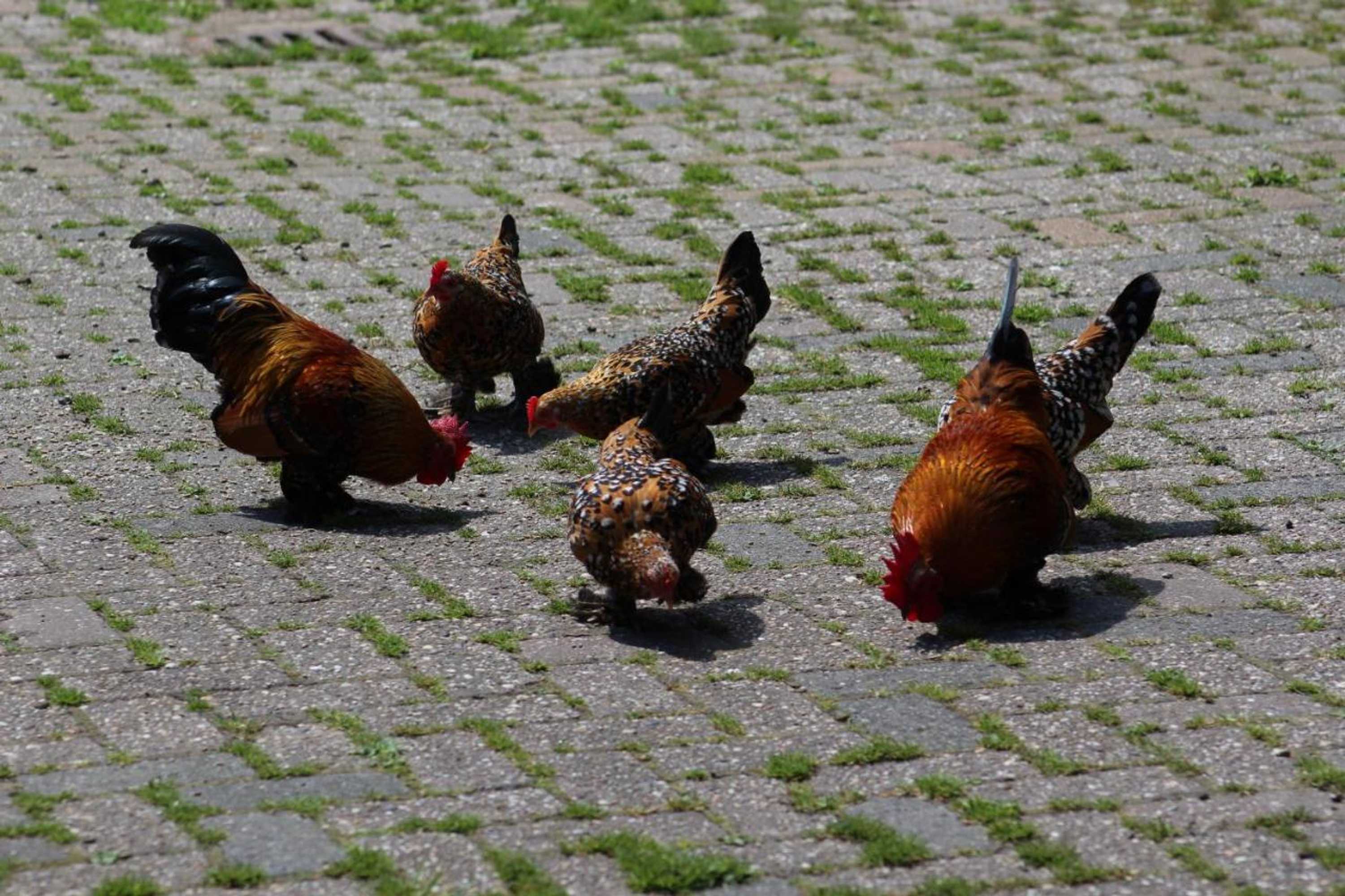 Gift card for Veldzicht