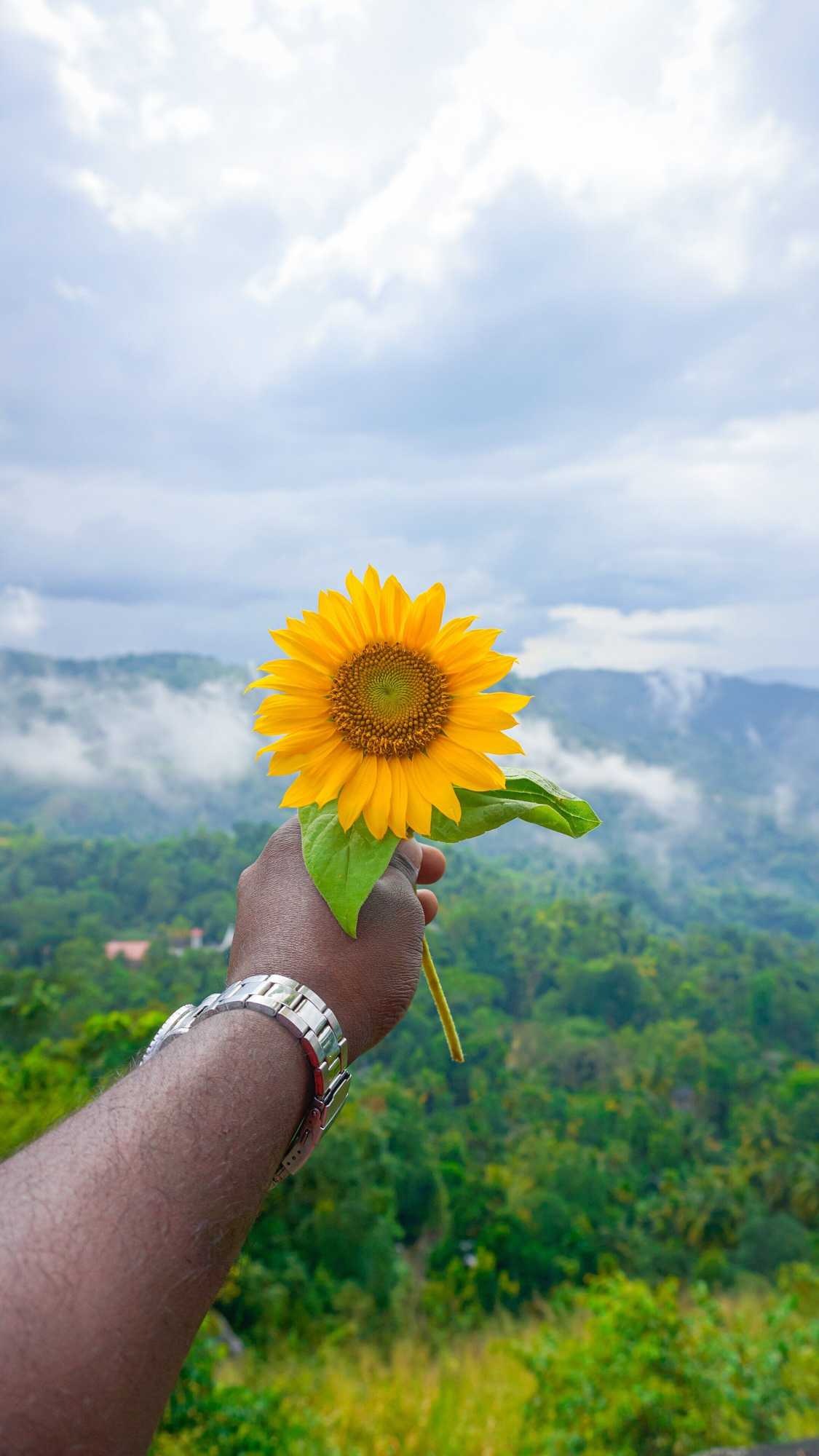 Gift card for Misty Hills Kadugannawa Gift card for Misty Hills Kadugannawa