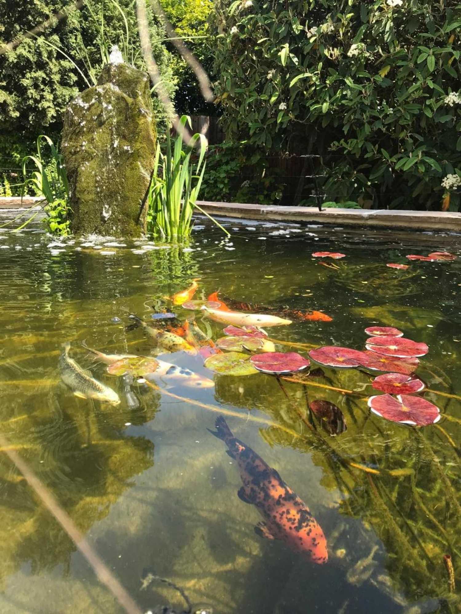 Gift card for Tresillian House Guest House & Garden