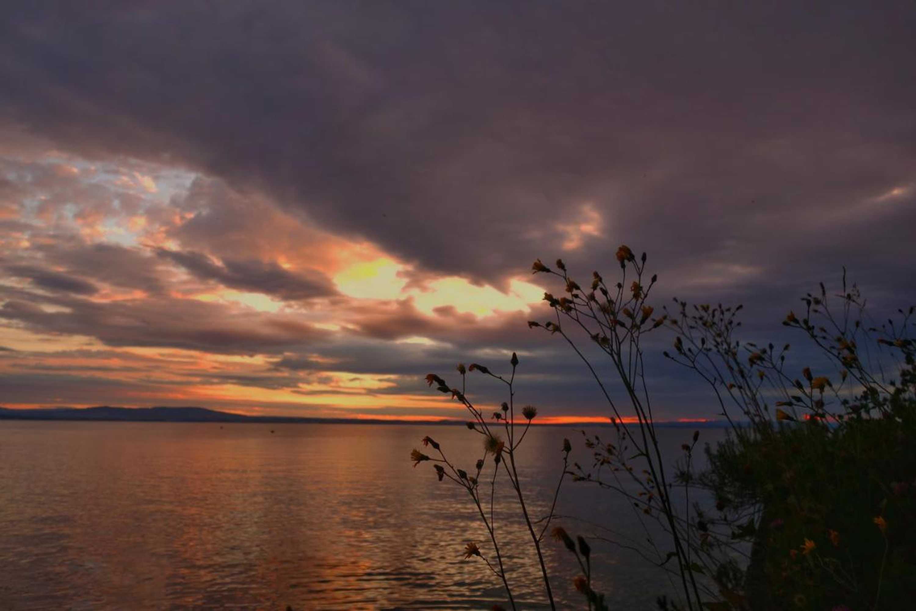 Gift card for Lakelodge Romanshorn