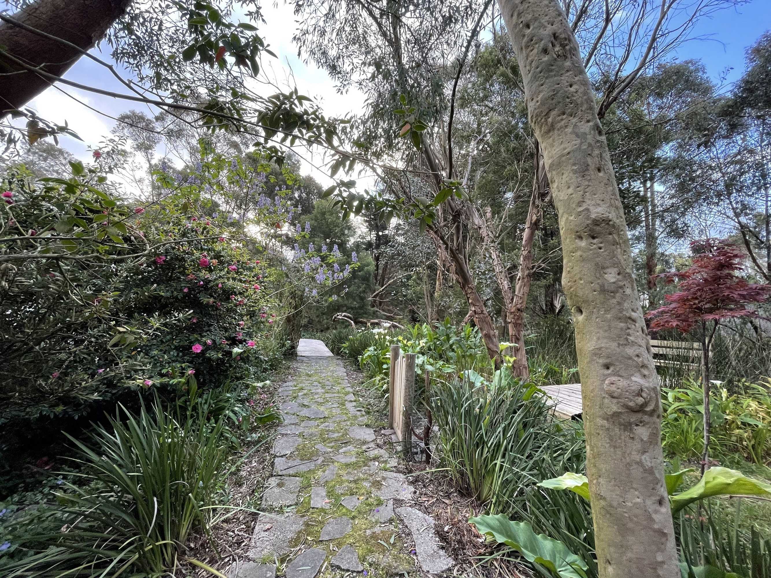 Gift card for Tindoona Cottages