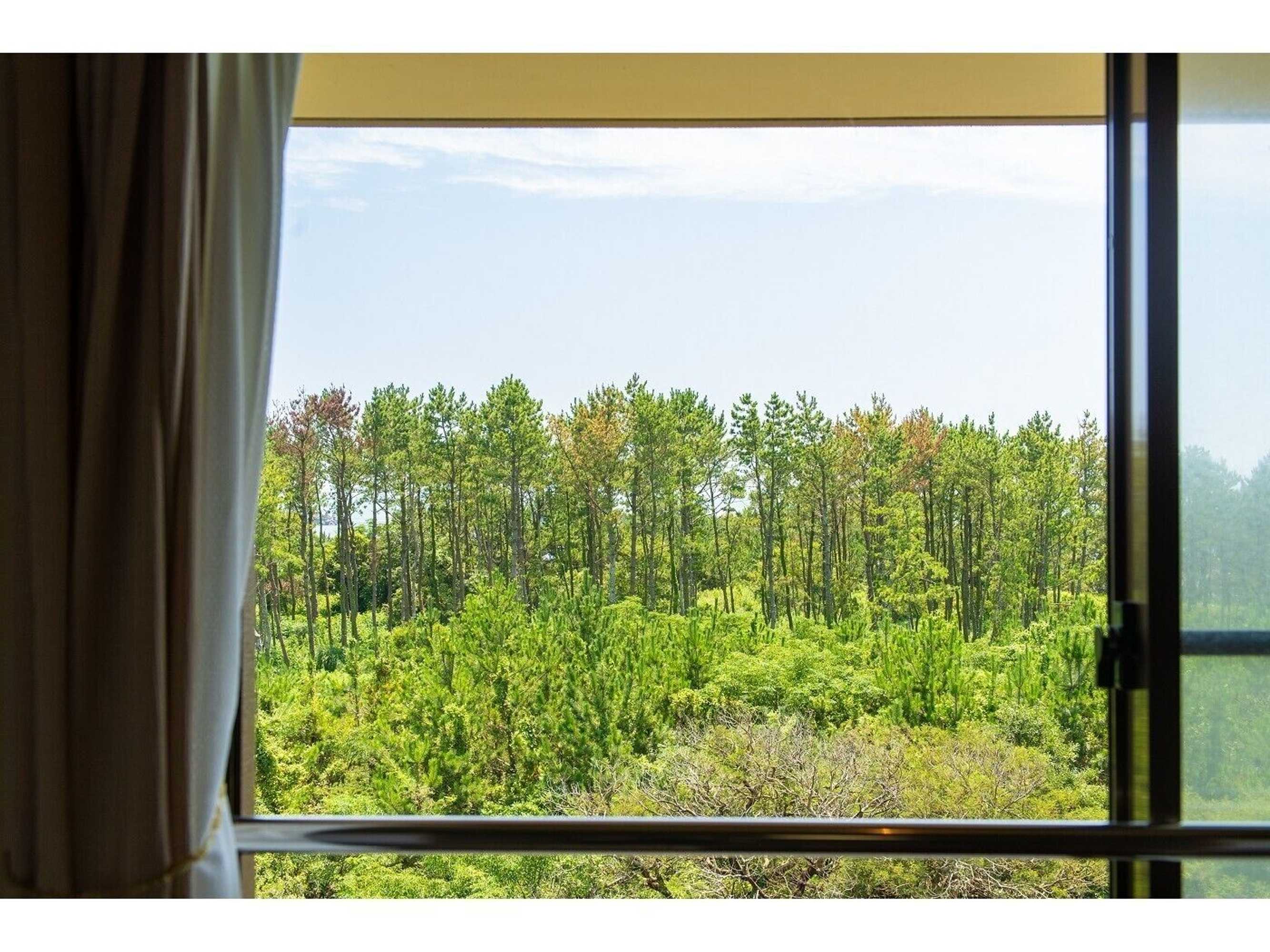 Gift card for Marugen