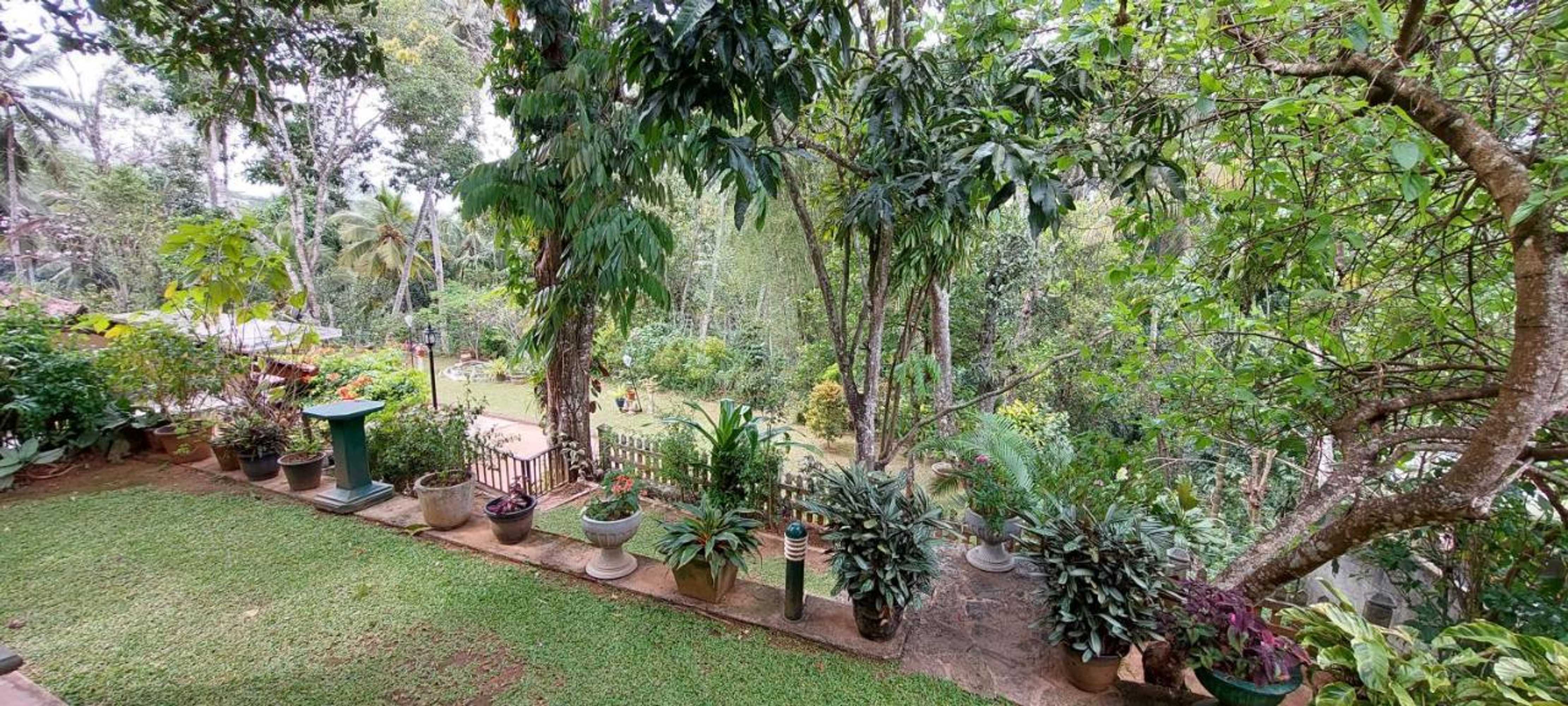 Gift card for Windy Ridge Kandy