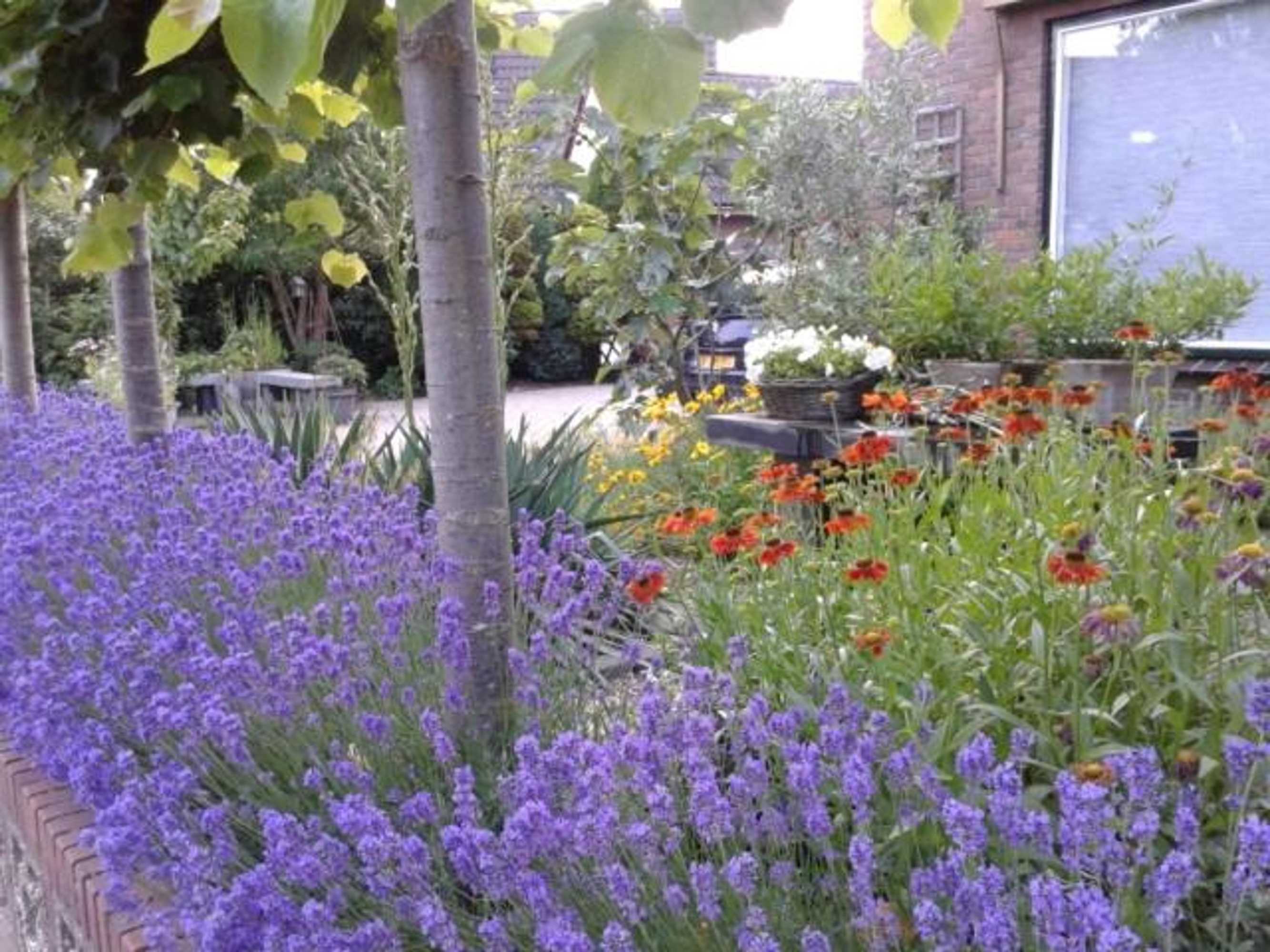 Gift card for Bed And Breakfast de Verwennerij