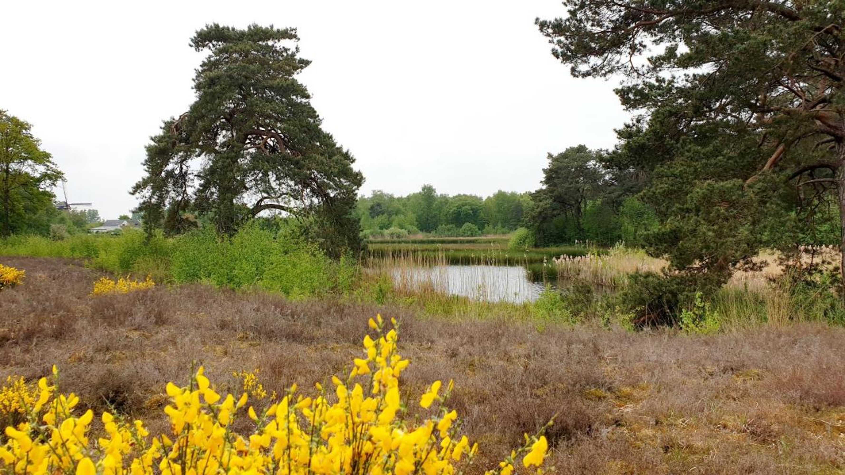 Gift card for B&b de Scherpenhof