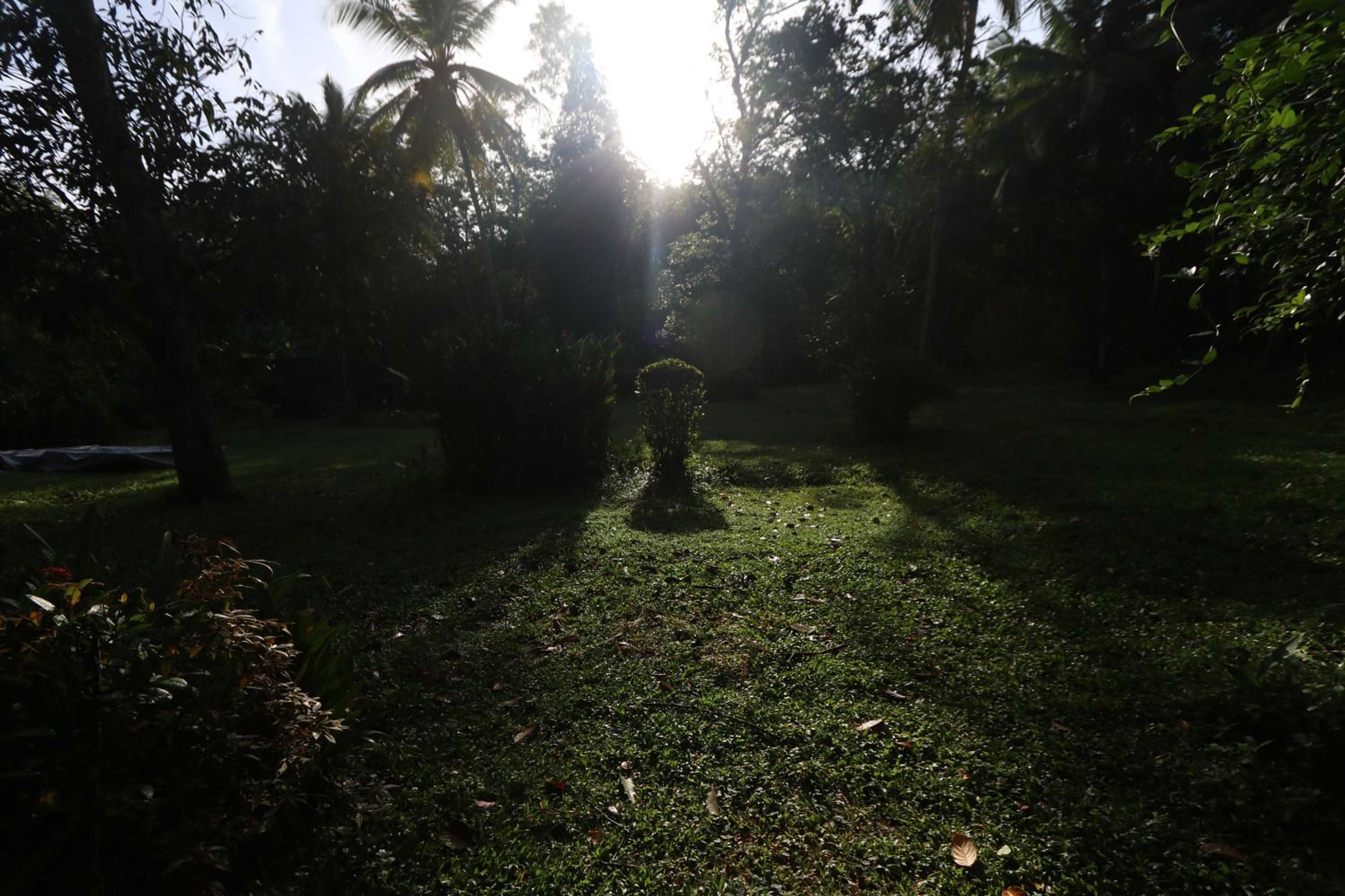 Gift card for Plantation Villa Ayurveda Yoga Resort Gift card for Plantation Villa Ayurveda Yoga Resort