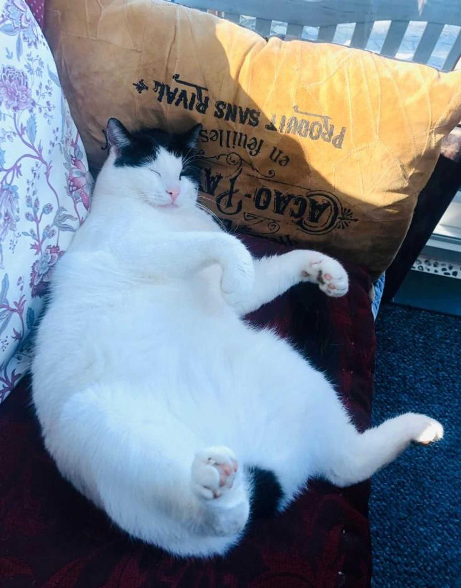 Gift card for Villa Kunterbunt