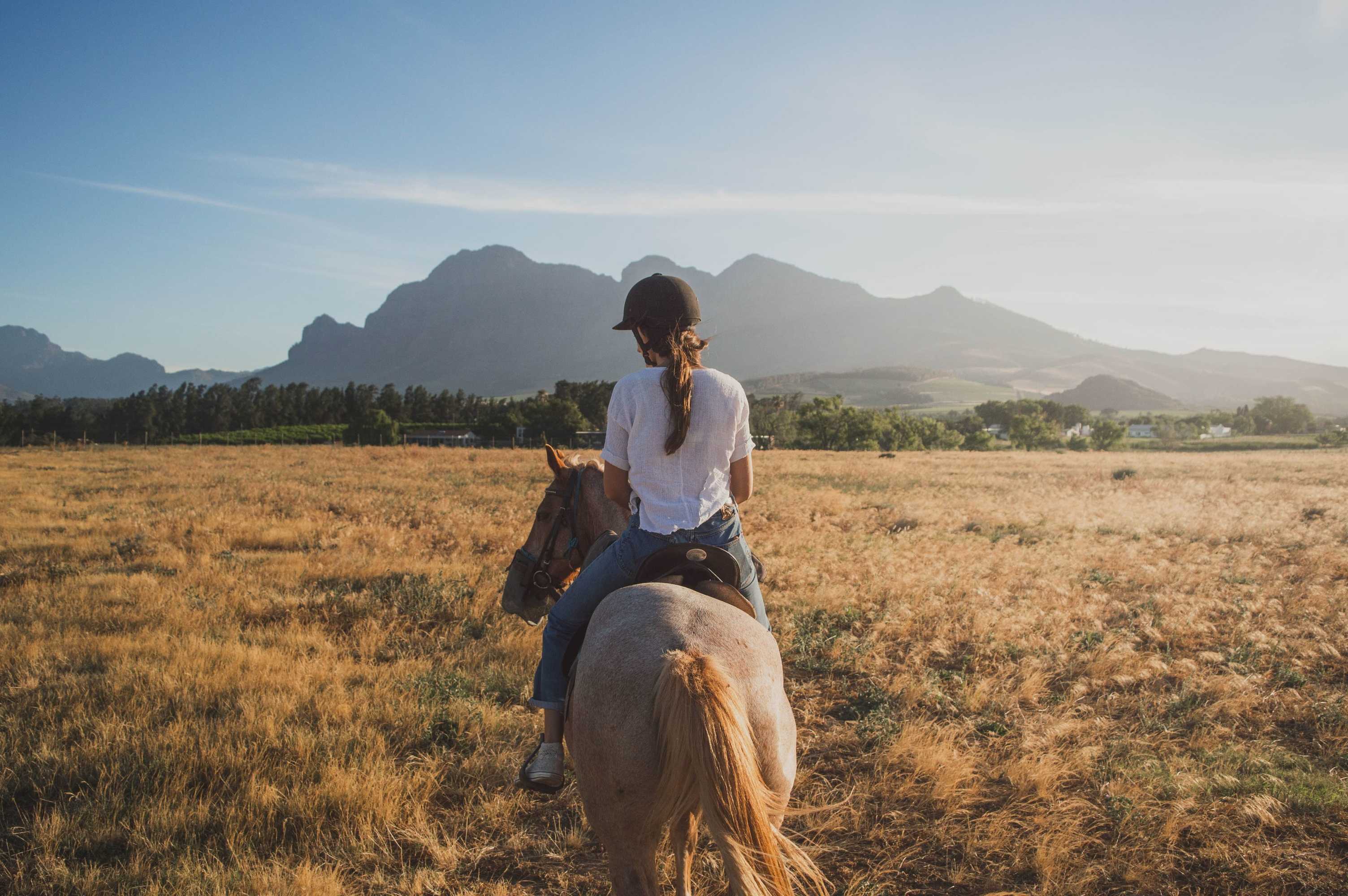 Gift card for Franschhoek Boutique Hotel