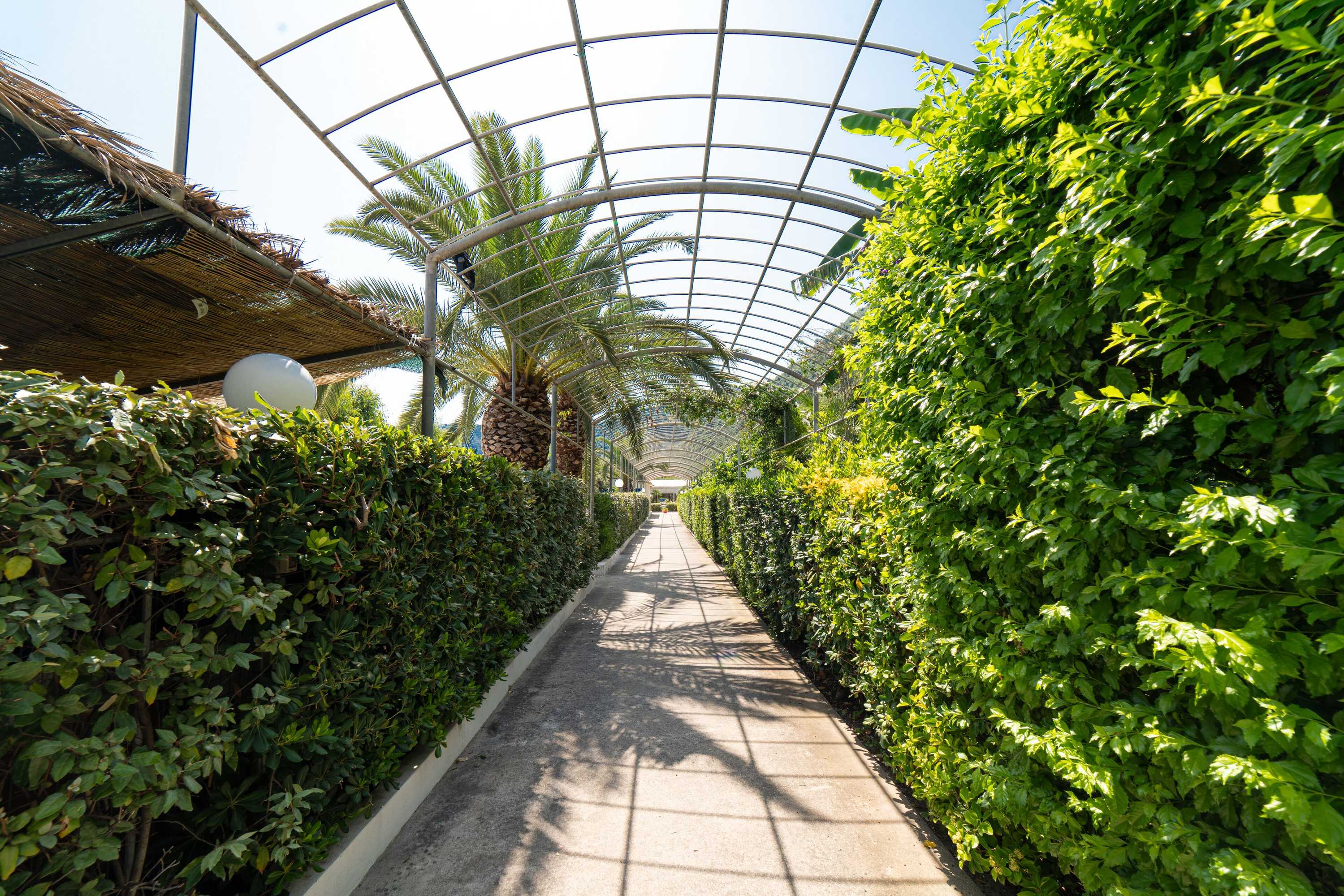 Gift card for Testa di Monaco Natural Beach