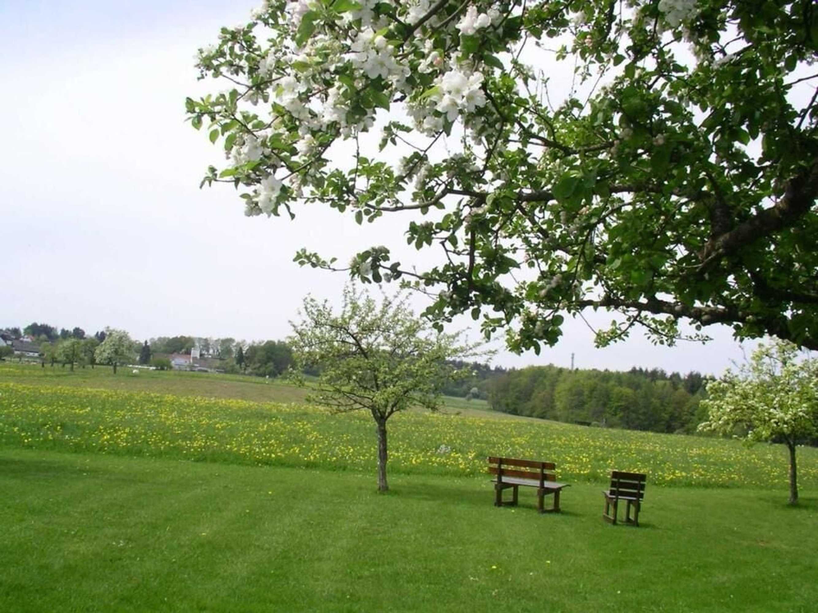 Gift card for Cafe Best Gästezimmer