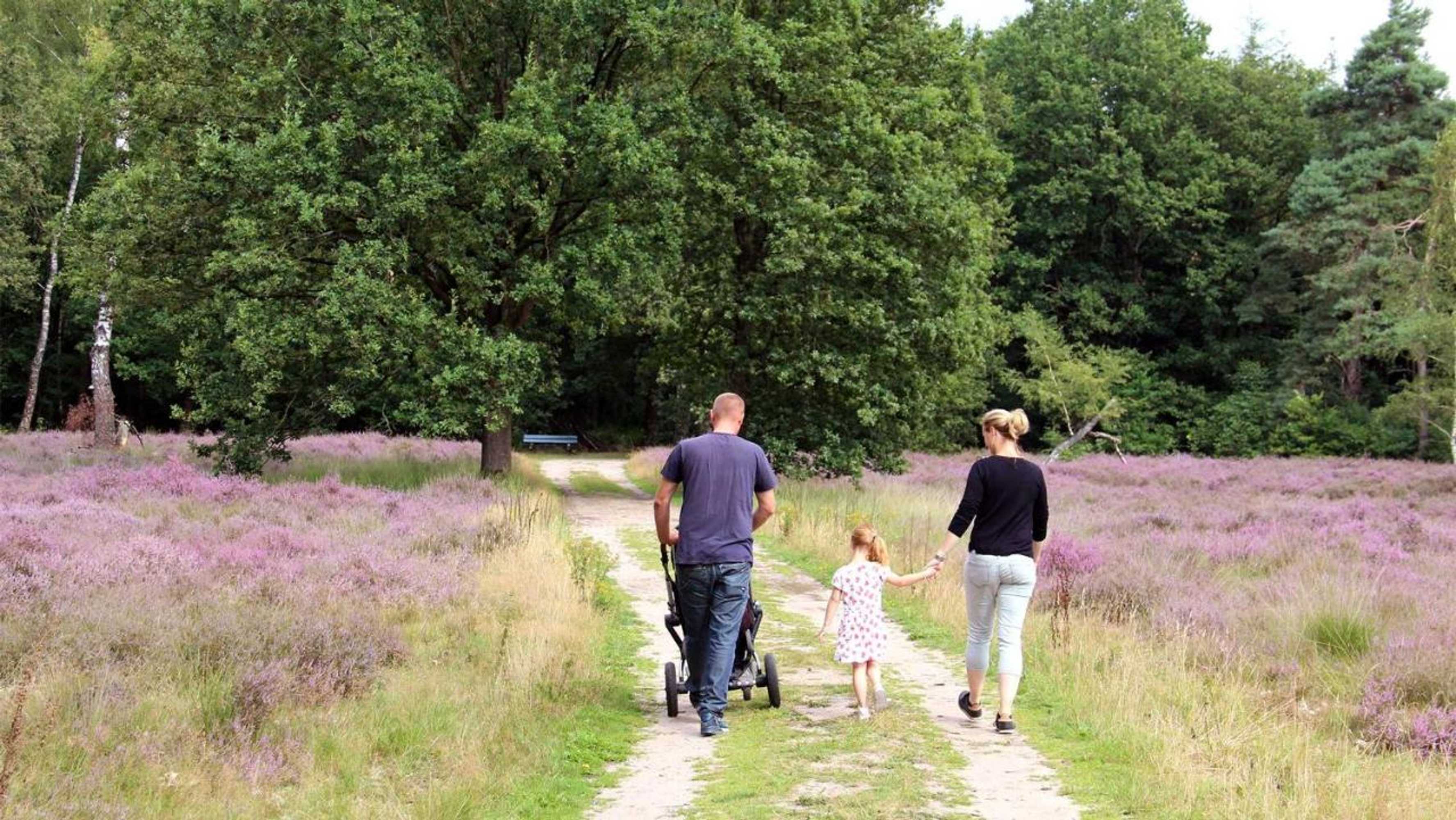 Gift card for Molecaten Park Landgoed Ginkelduin