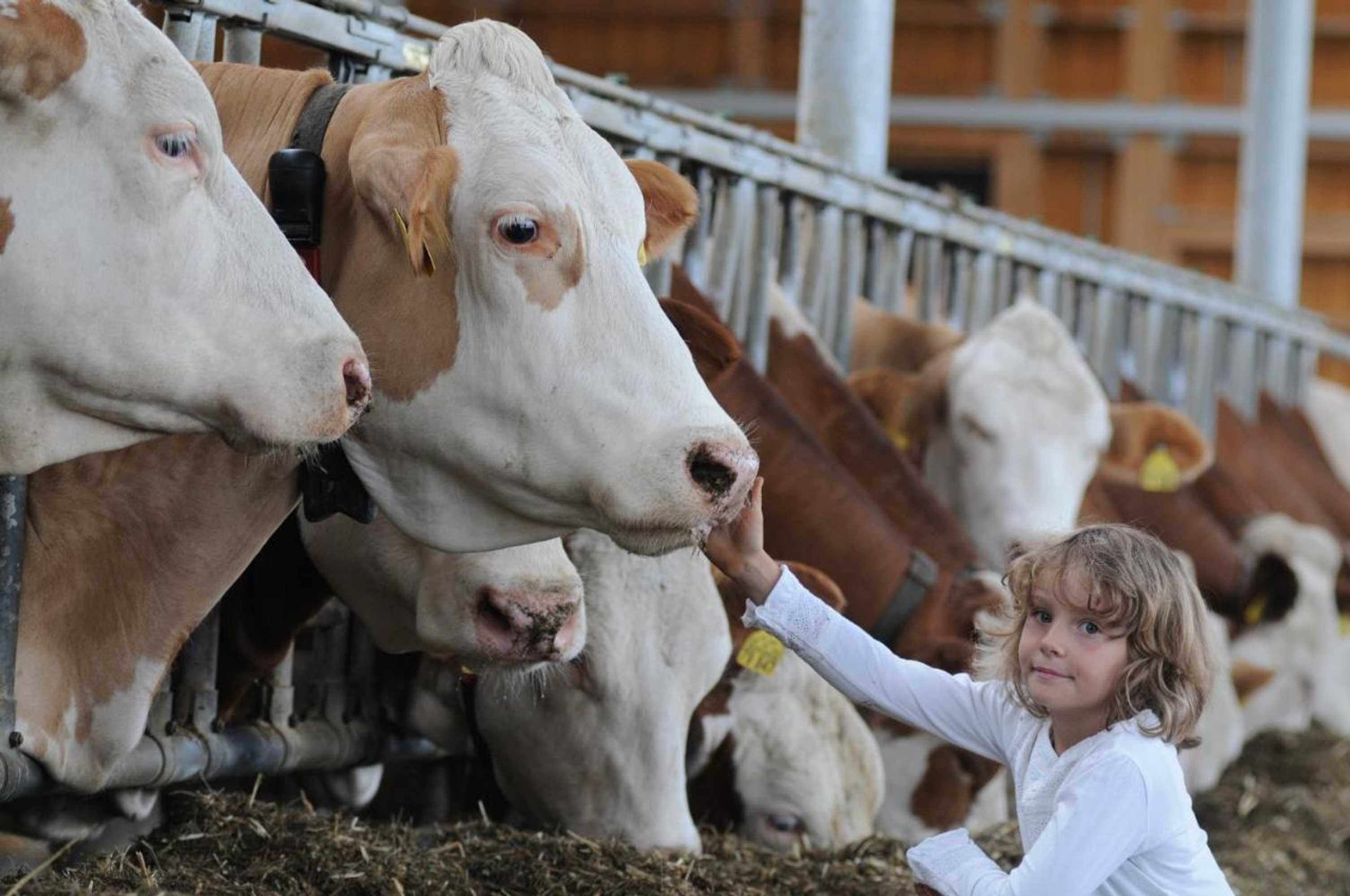 Gift card for Drexl-Hof