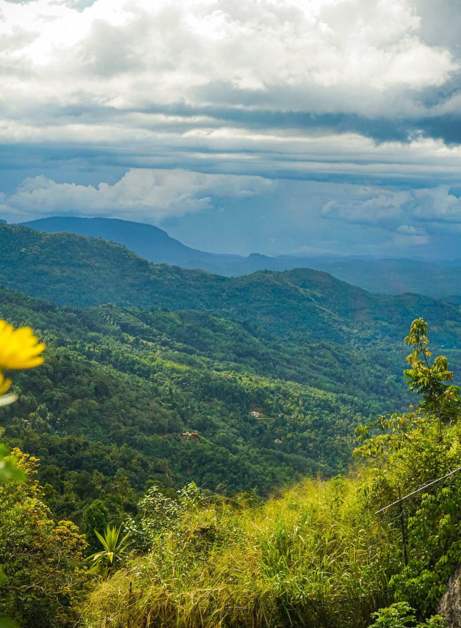 Gift card for Misty Hills Kadugannawa Gift card for Misty Hills Kadugannawa