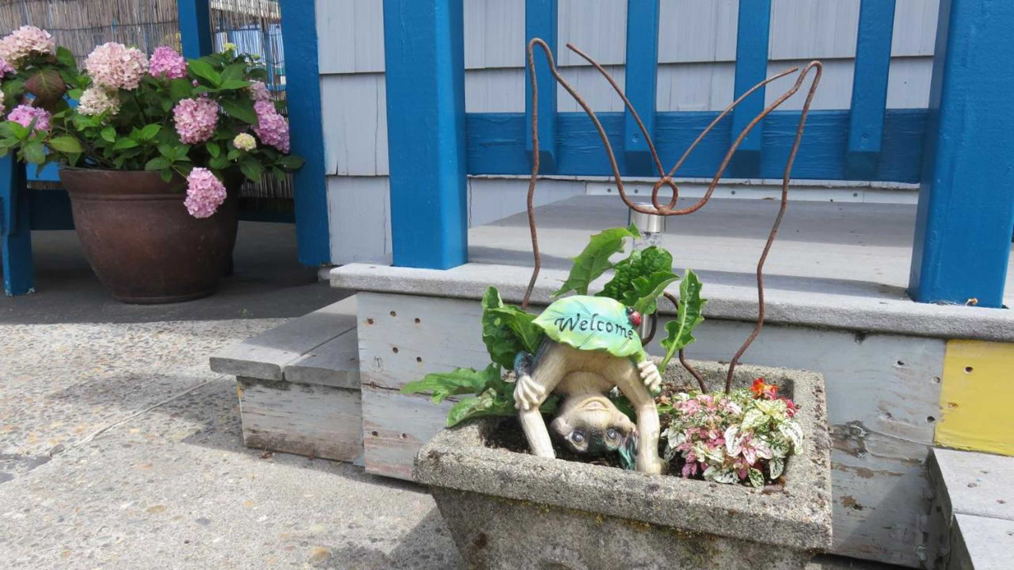 Gift card for Mermaid Inn