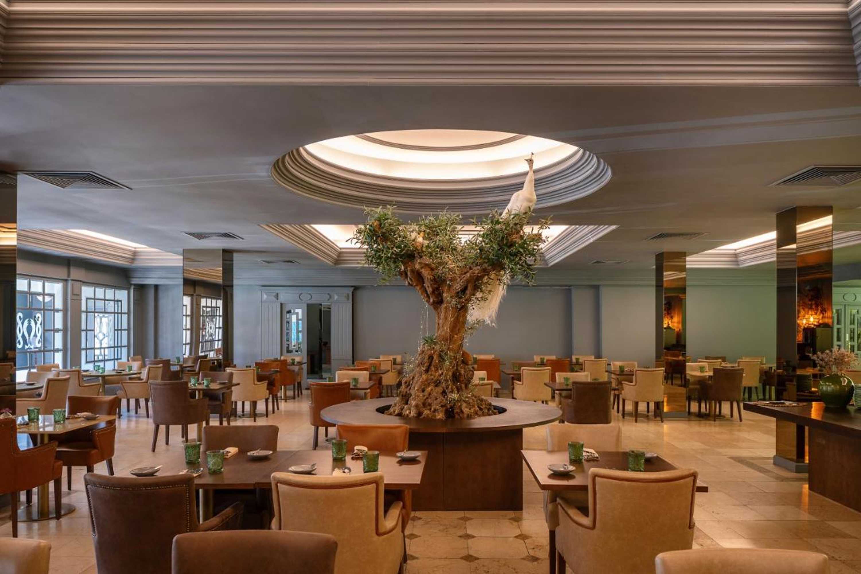 Gift card for Grande Hotel Thermas Nature & Spa