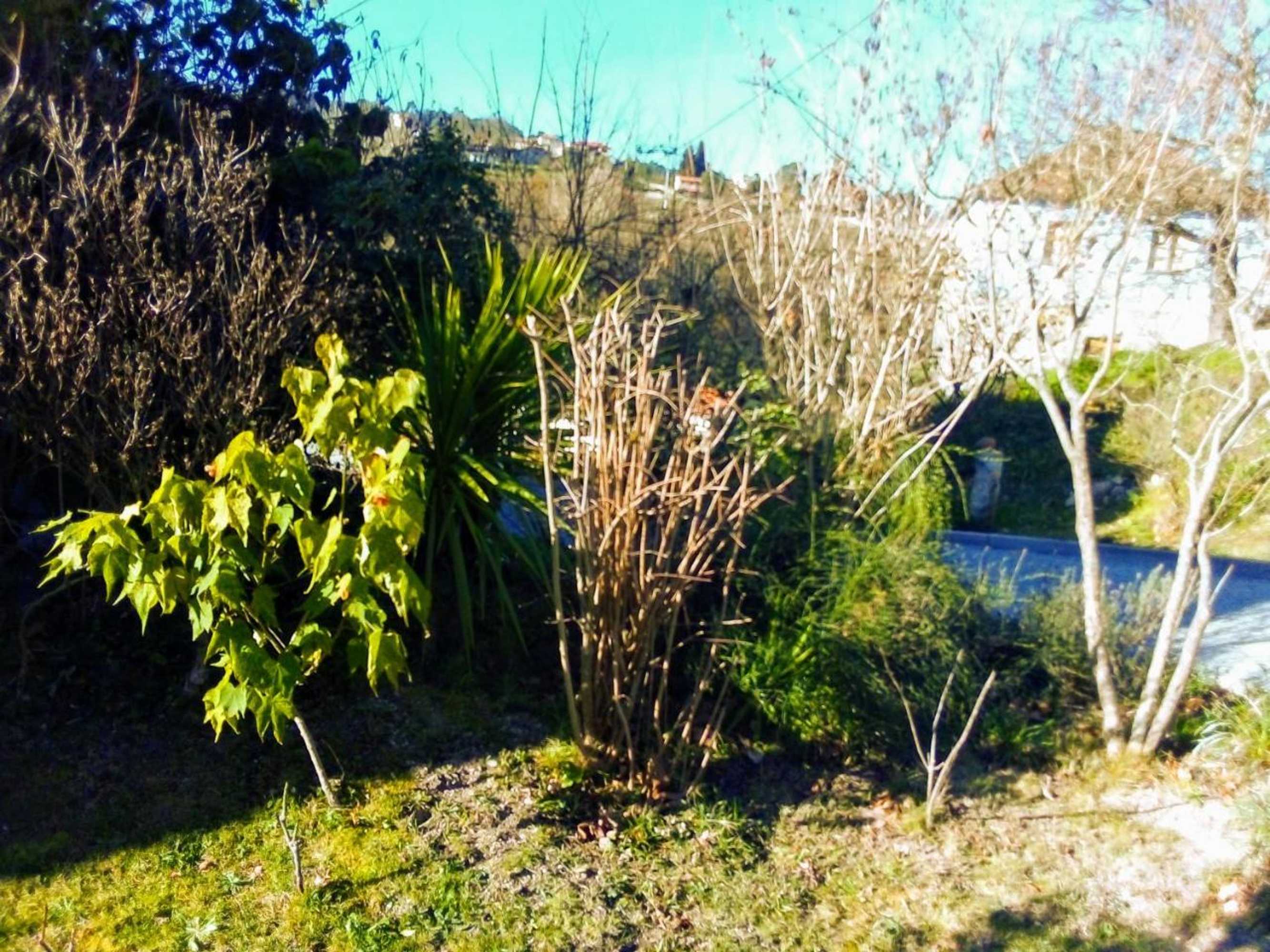 Gift card for Casa Vale do Rio Ovil