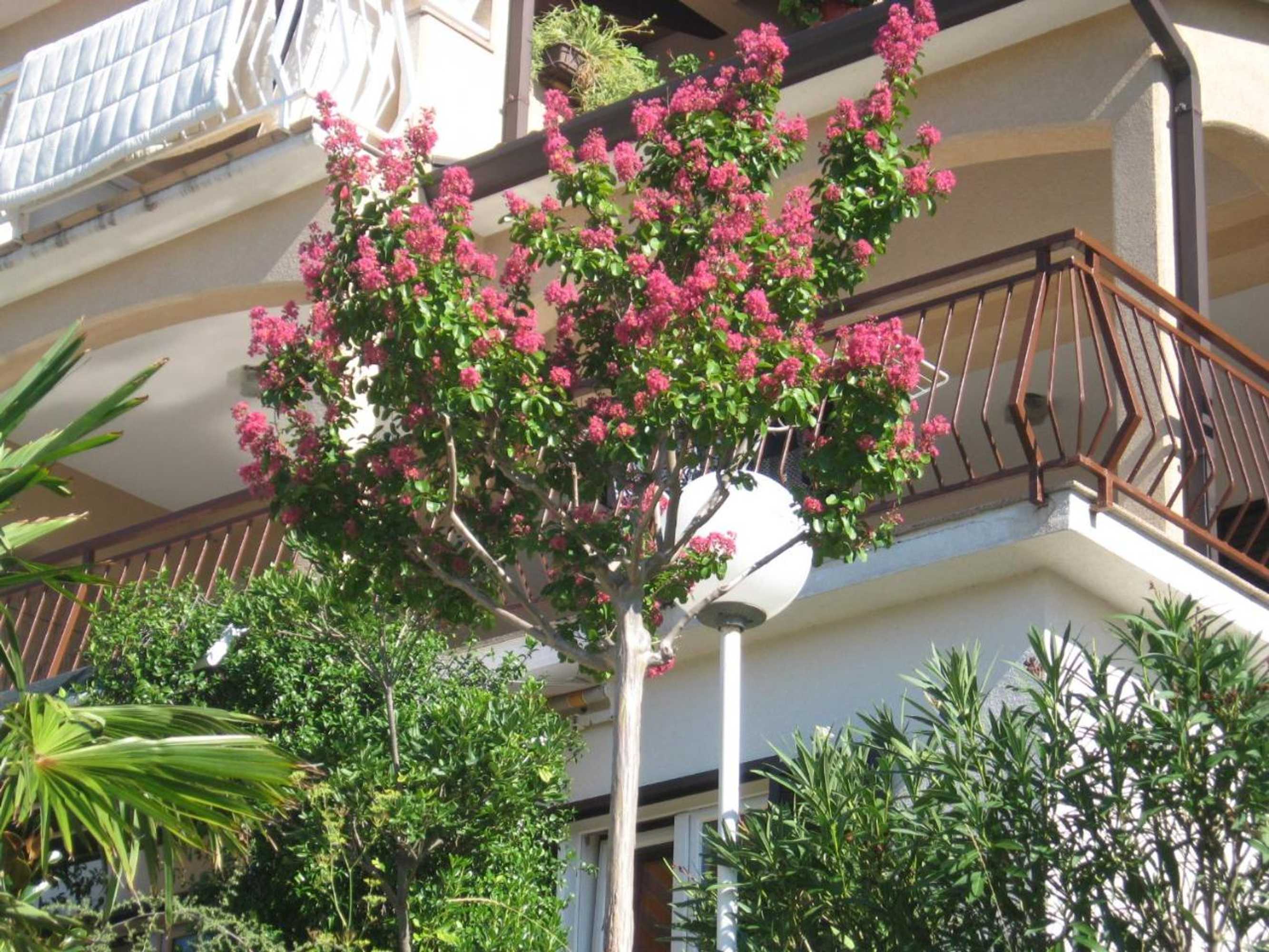 Gift card for Apartments Silmare