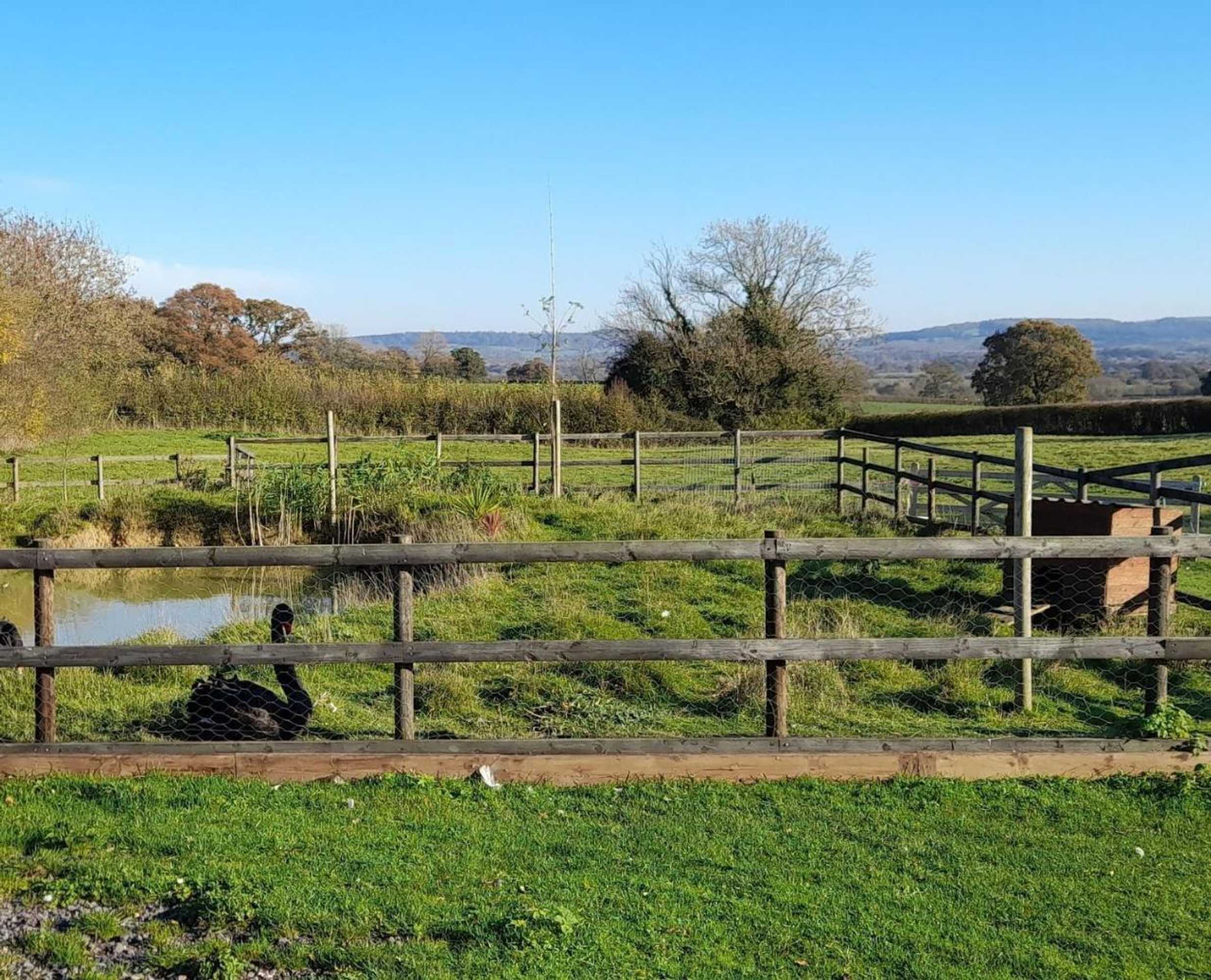 Gift card for Knoll Hill Farm, The Place To Stay