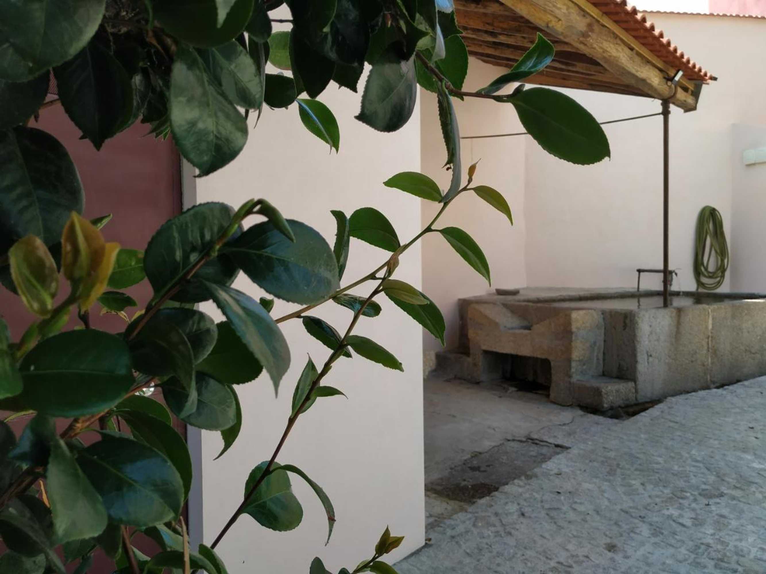 Gift card for Hostel Entresocalcos