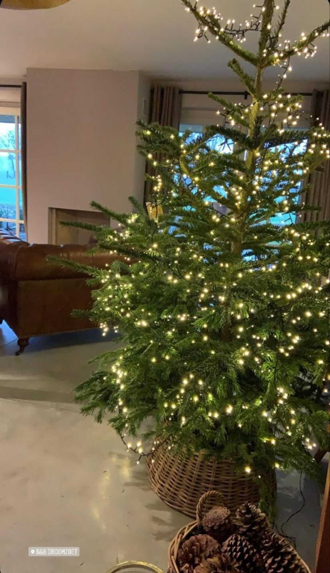 Gift card for B&b Droomzoet