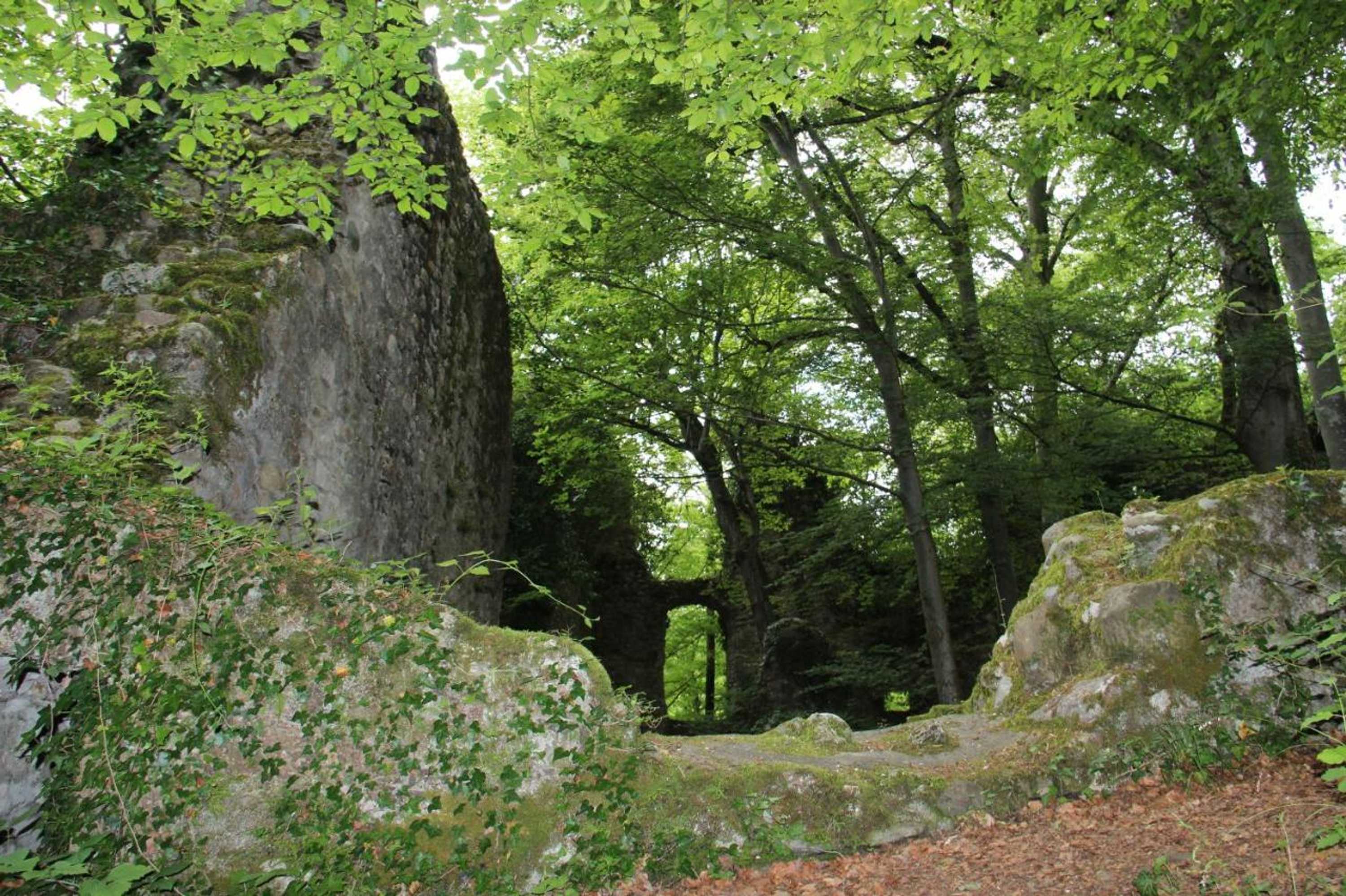 Gift card for Wasserstelz Historisches Genusshotel & Restaurant am Rhein