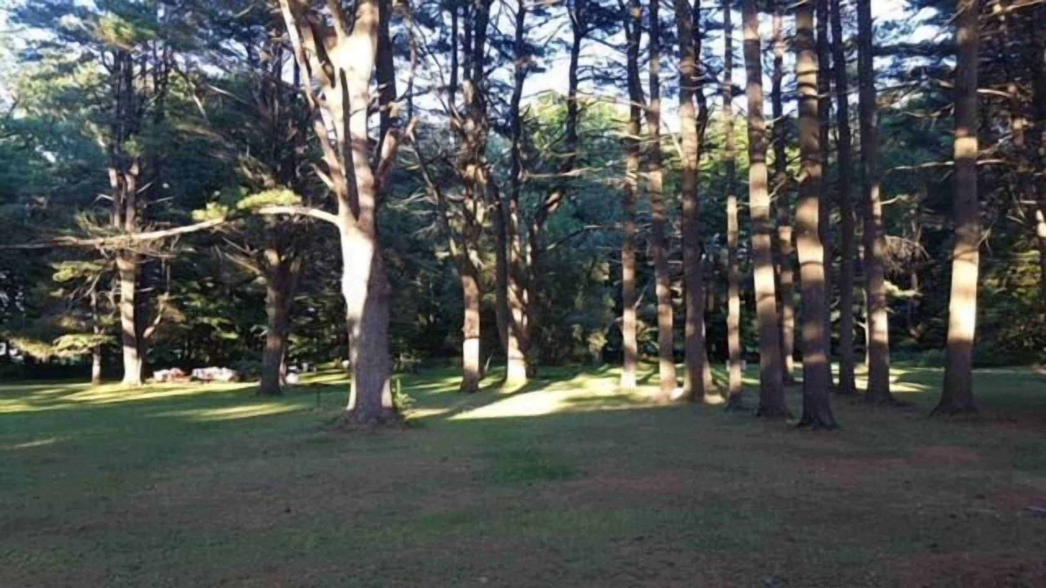 Gift card for Catskill Motor Court Motel